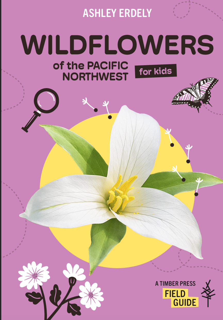 Meet the Wildflowers