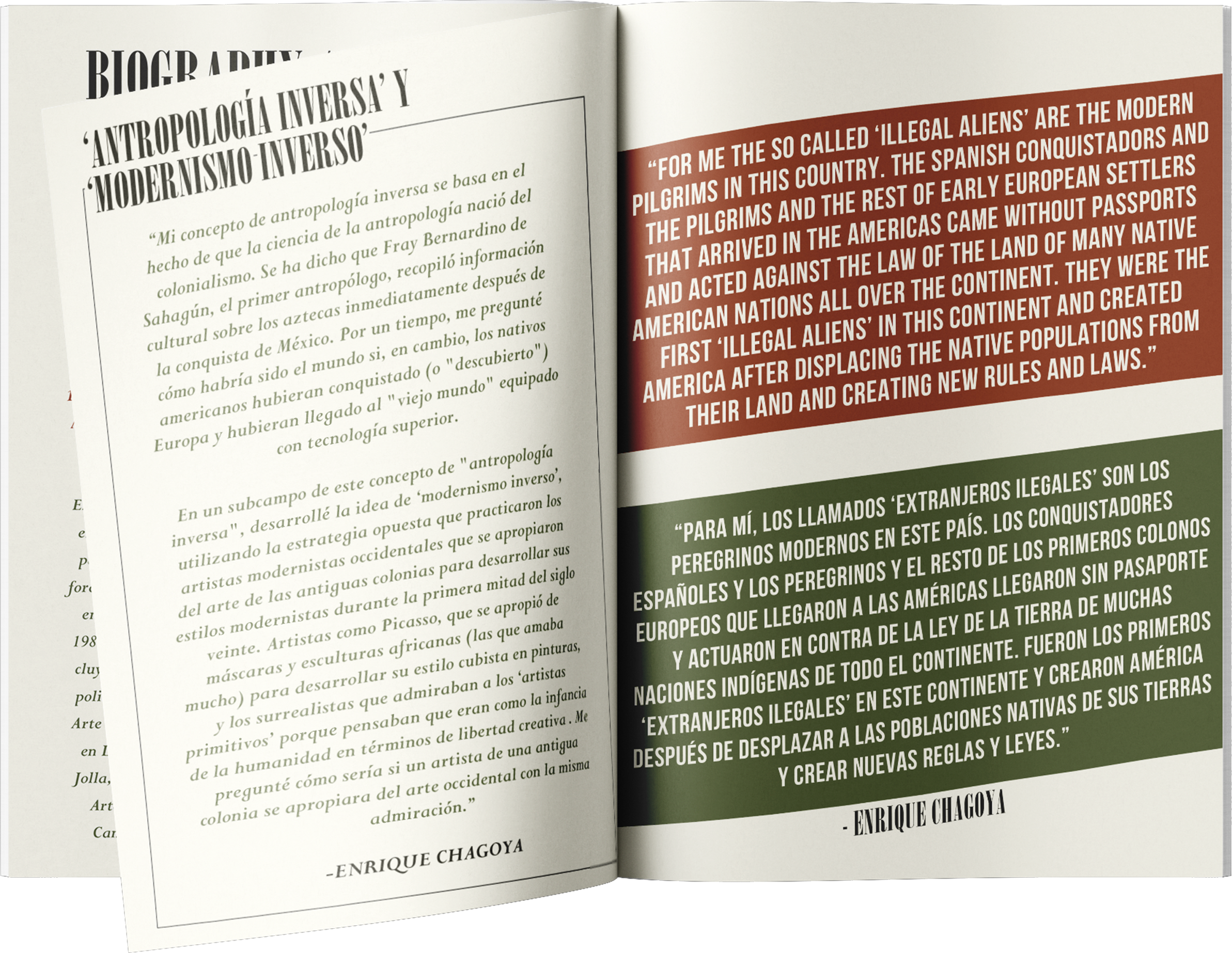 brochure copy.png