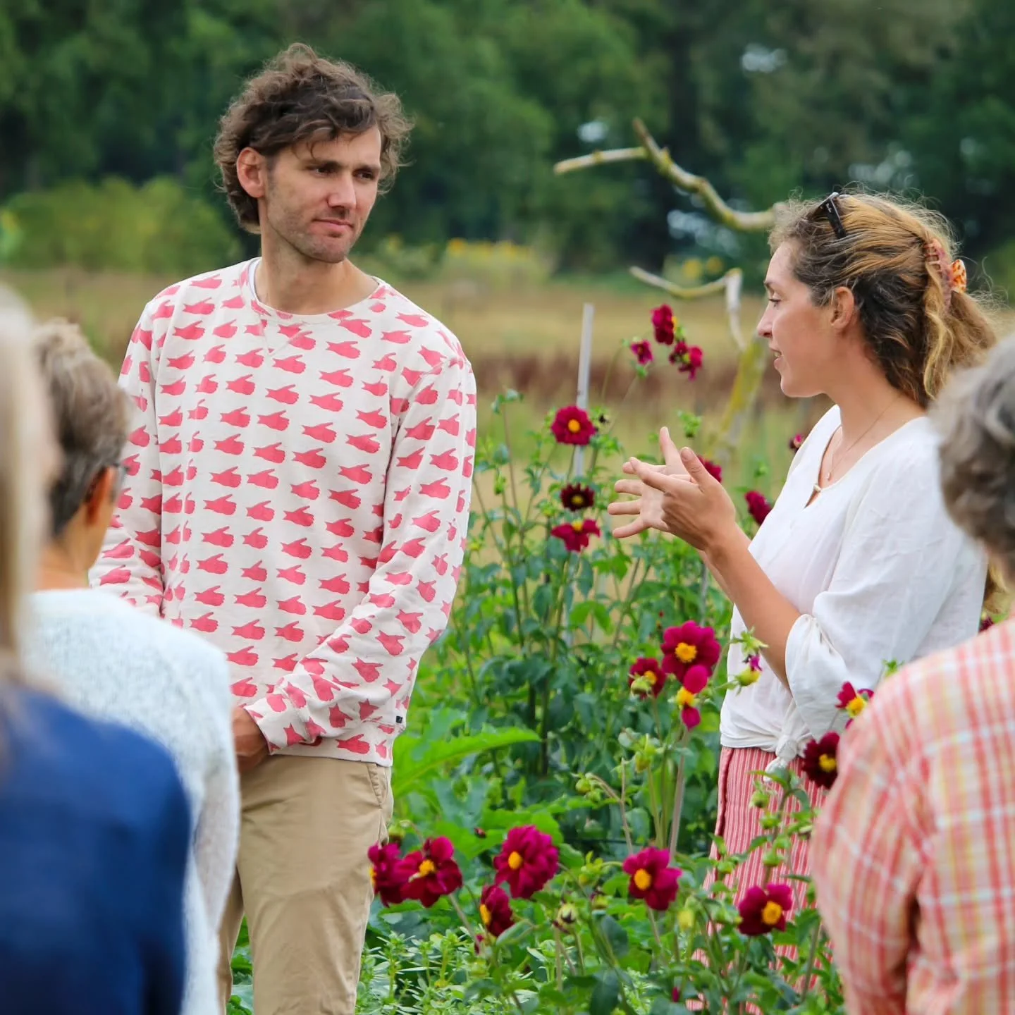 Rondleiding alert! 🪇

Morgen 18 oktober 11.00u geven we weer een rondleiding op ons mooie stukje land in Ruinen 🍀. 

Over onze transitie van topsporter naar regeneratief boer, hoe deze andere vorm van landbouw zowel de natuur kan herstellen, een ov