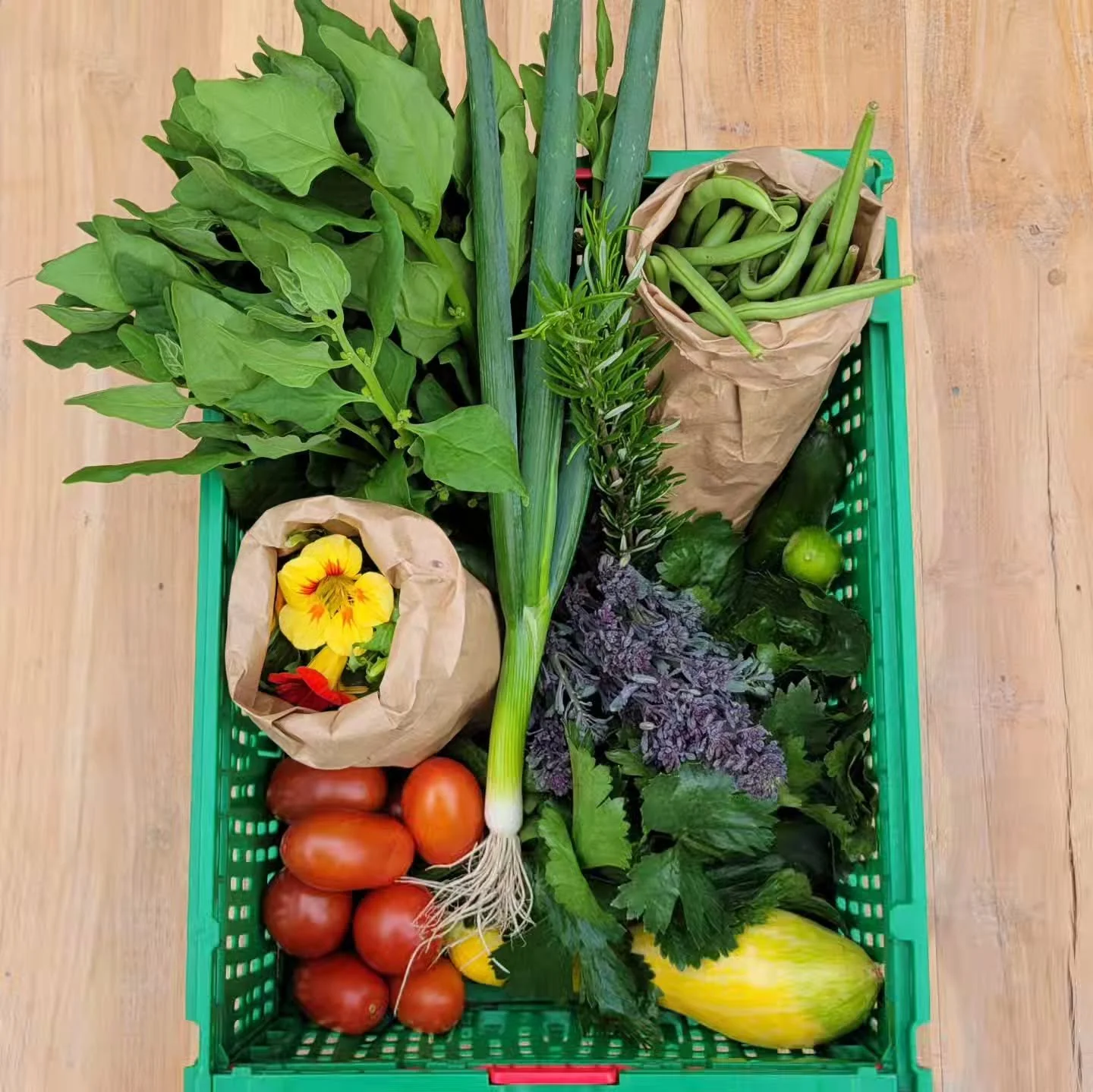 Gelukkig nieuwjaar allemaal! Hier ons pakkettenseizoen 2025 in vogelvlucht! 🕊

Wat hebben we genoten van het laten groeien van alle gezonde groentes, het samenstellen van de pakketten en het uitleveren aan lieve pakketleden! 🫜

Een seizoen lang kna