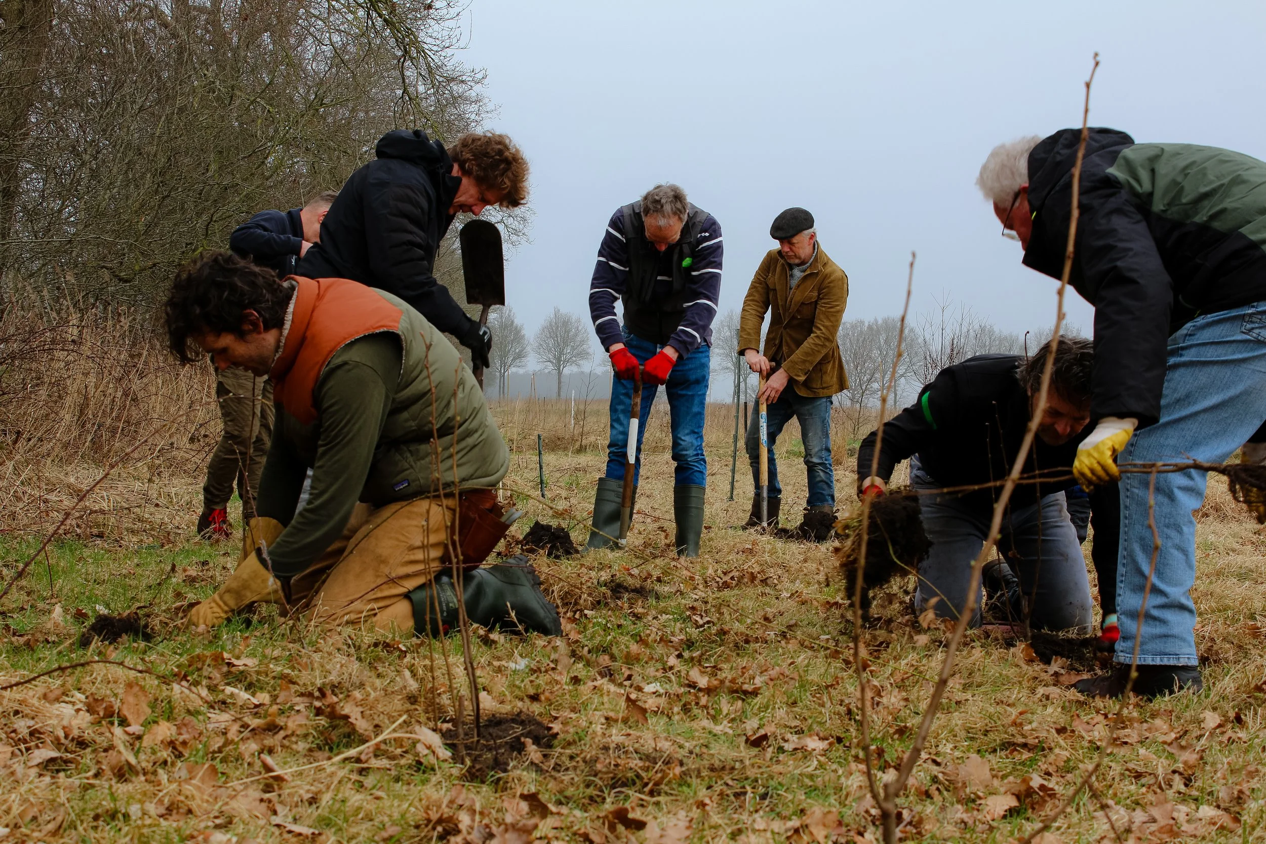Bomenplantdagen bij De Braamsluiper