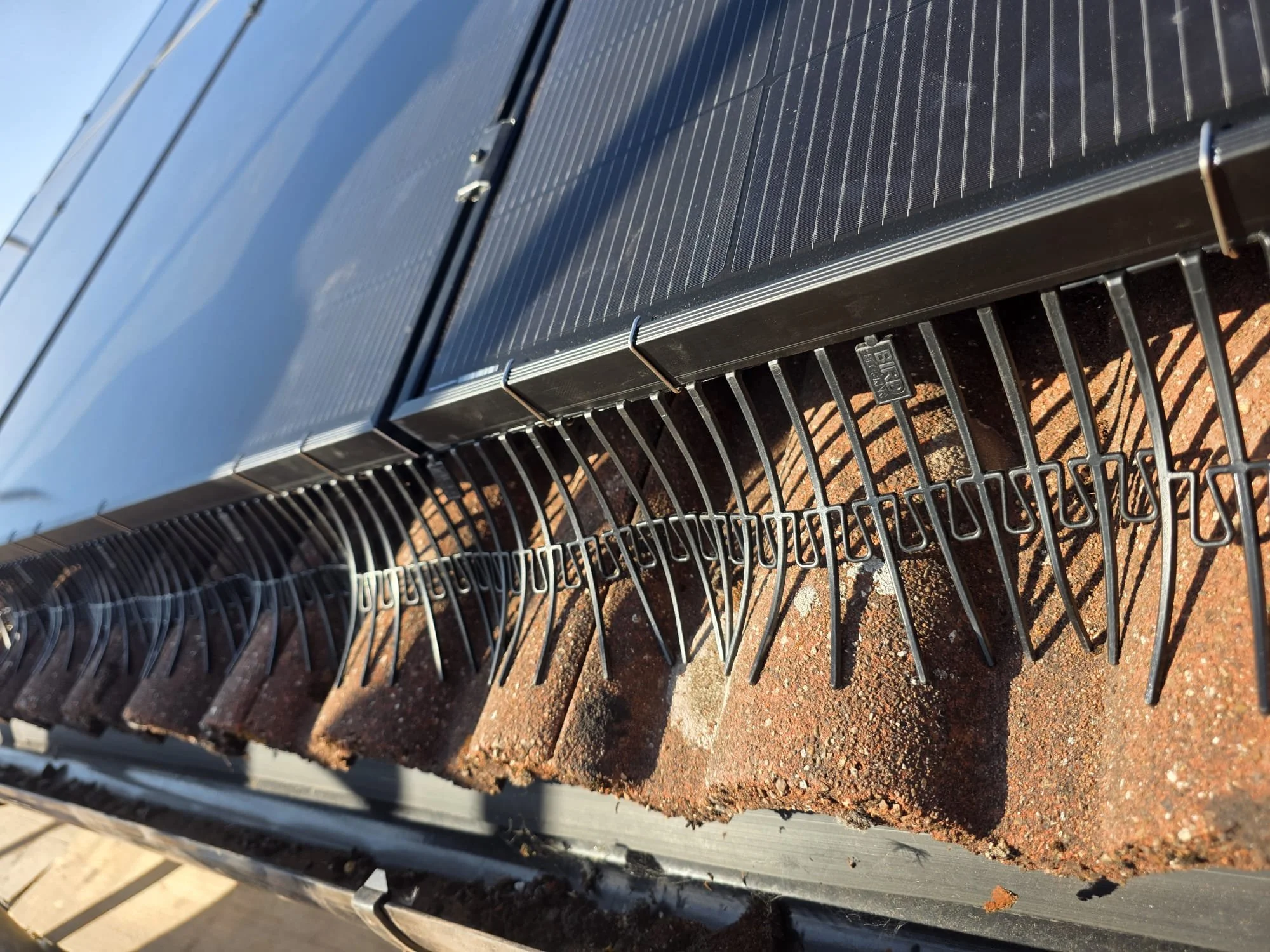 Close-up of a solar panel installed on a metal frame over a dirt surface, with a clear blue sky in the background.