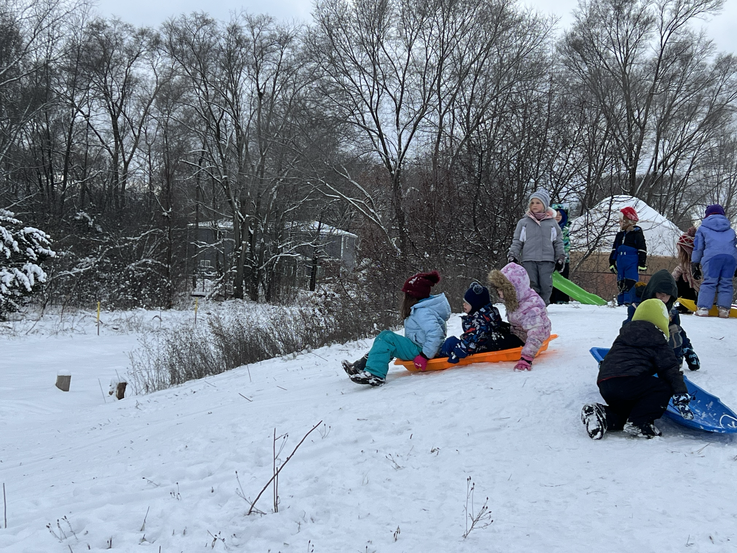 Children playing on a snow-covered hill, some sitting on sleds ready to slide down, others standing or struggling to climb up. Snow-covered trees in the background.