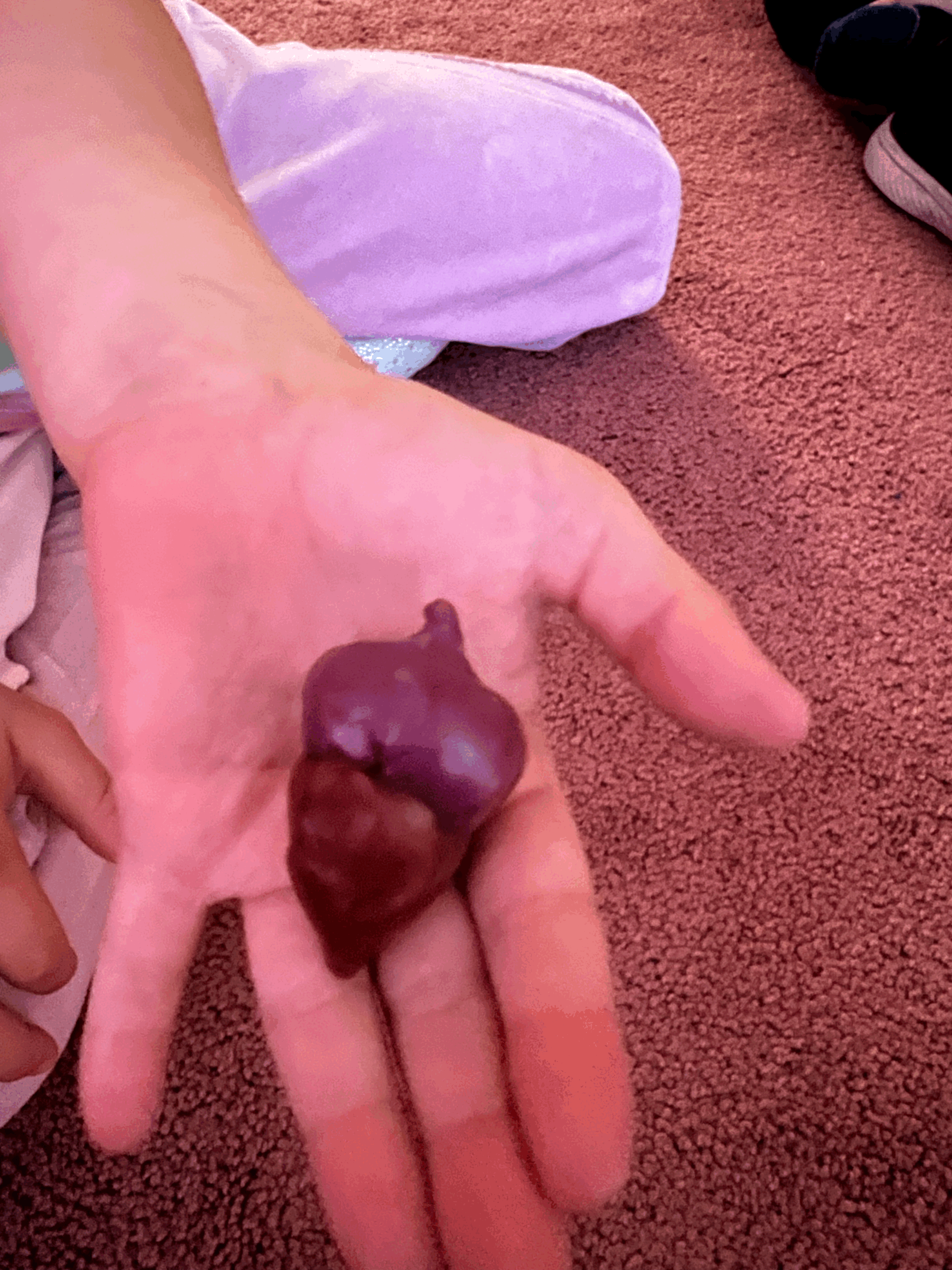 The Golden Gift: Why We Model with Beeswax in First Grade