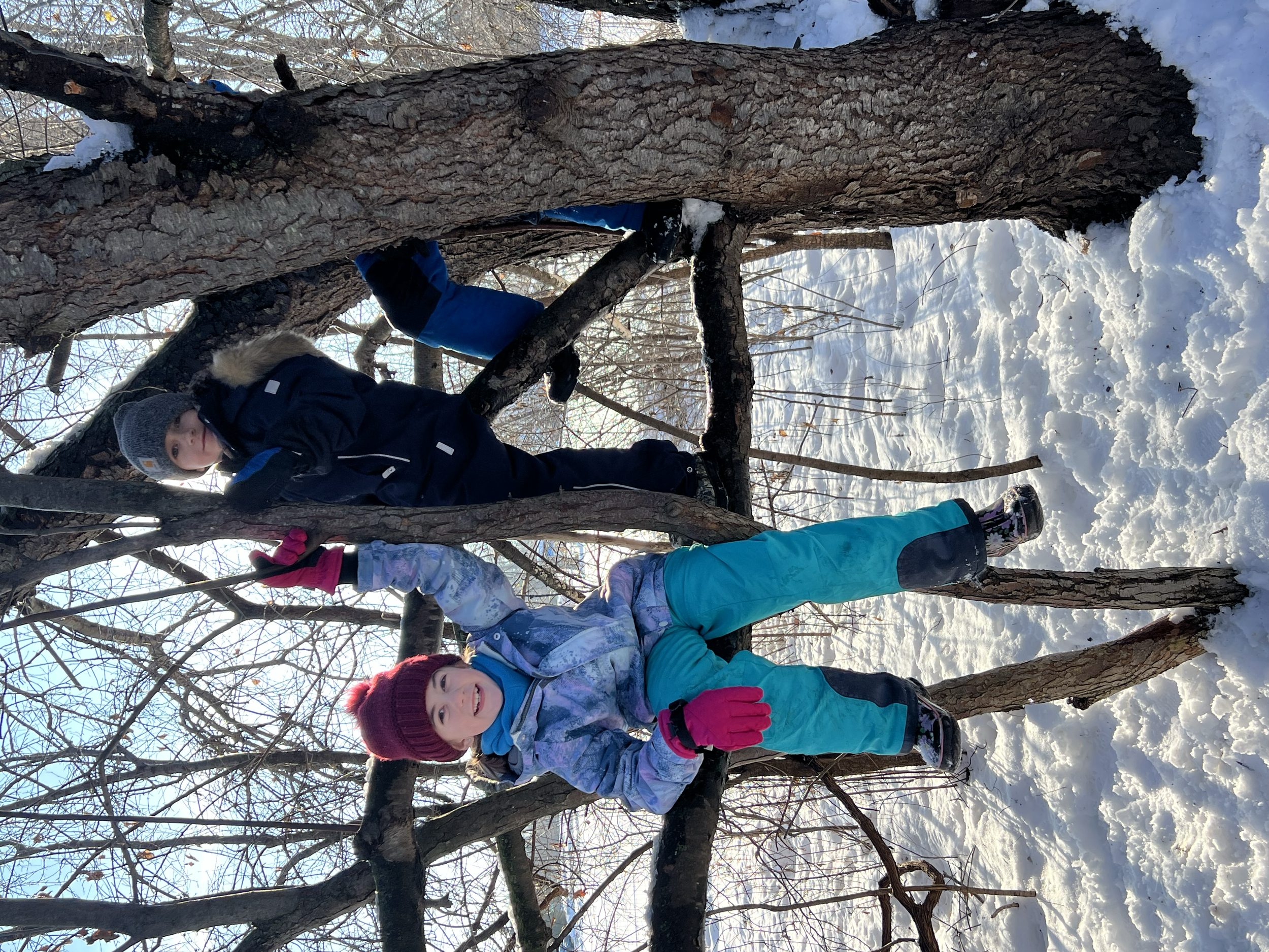 Two children playing in snow on a winter day, climbing on a large fallen tree with snow-covered ground and bare trees in the background.