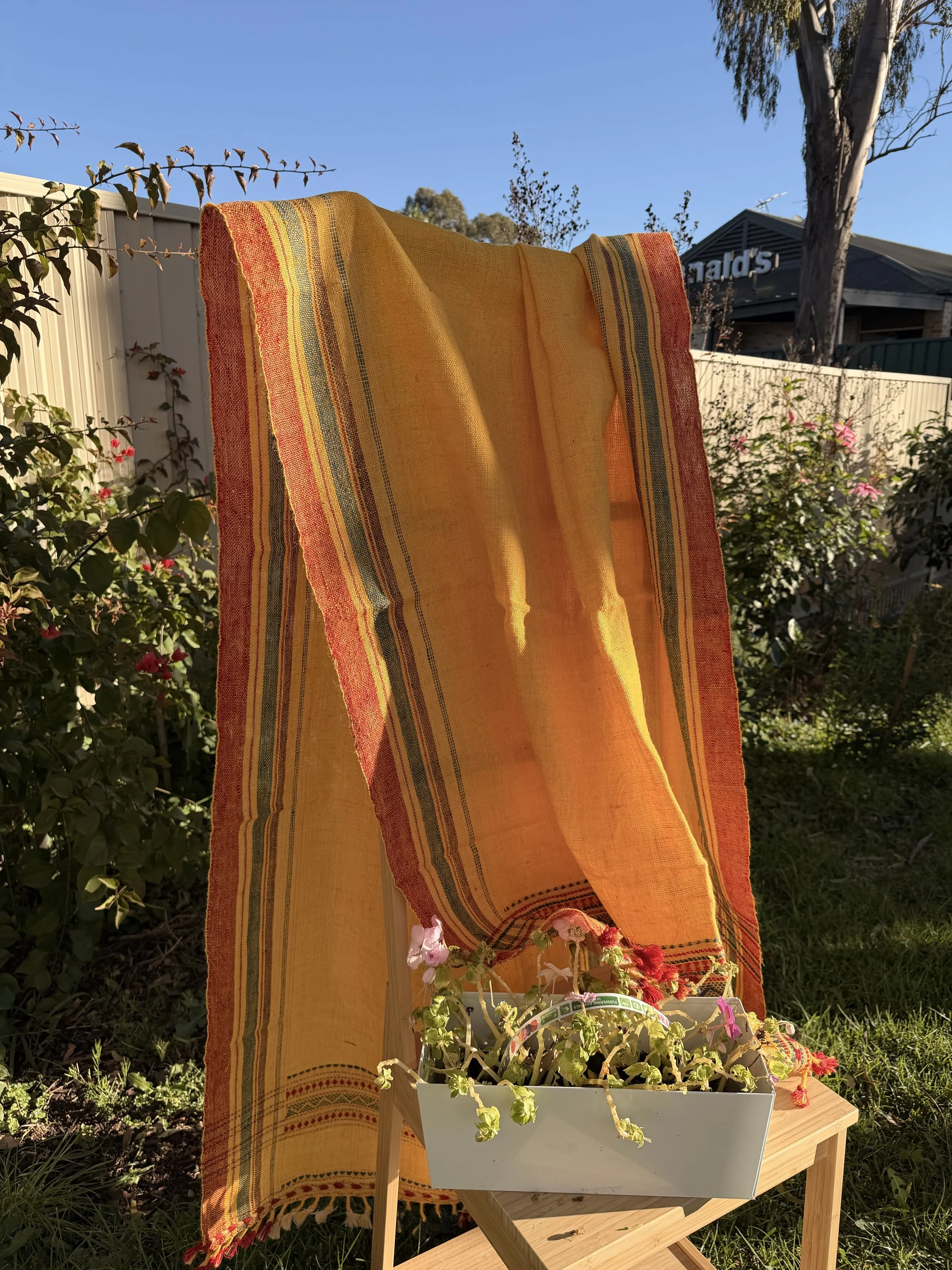 IMG_0311_Original.jpeg
