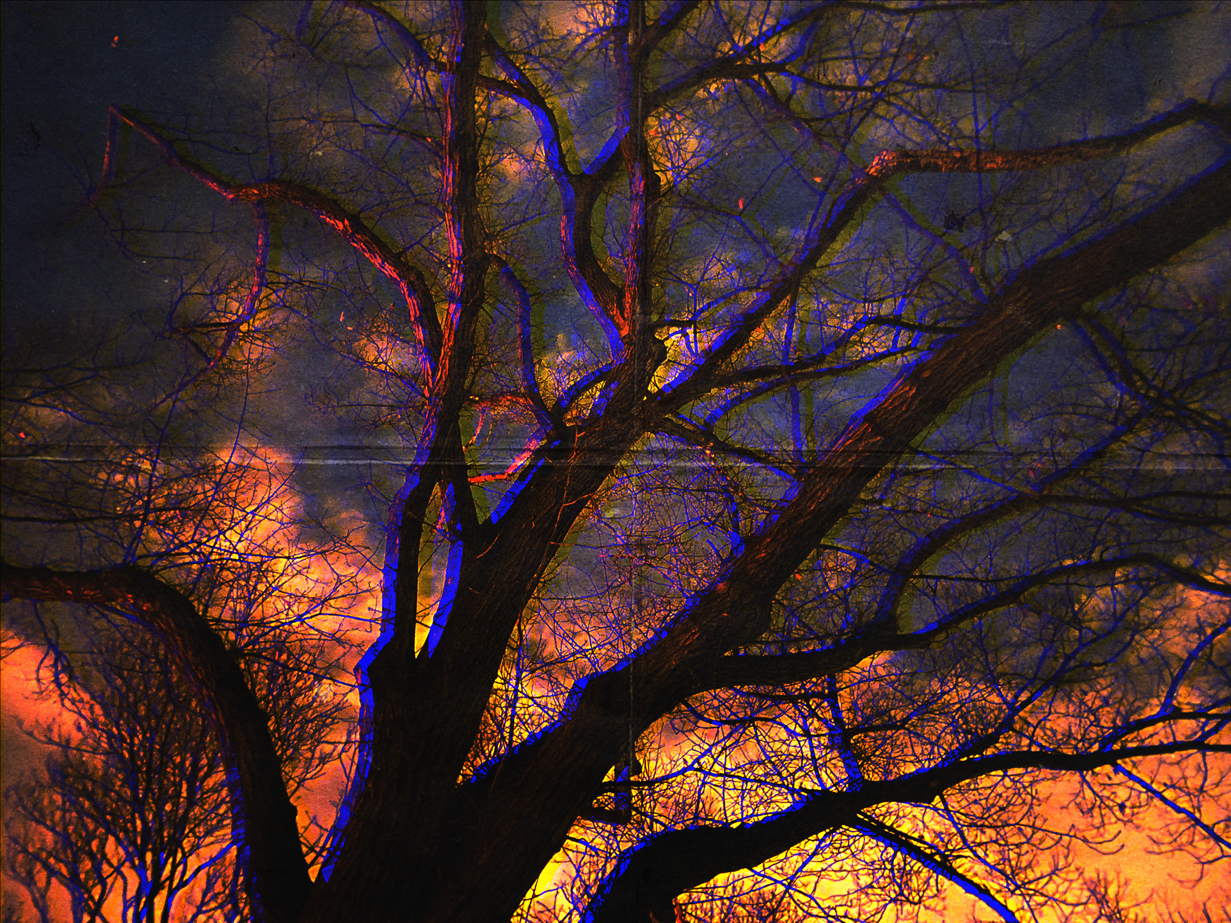 "SNOWBEDS (A SKY ON FIRE)"