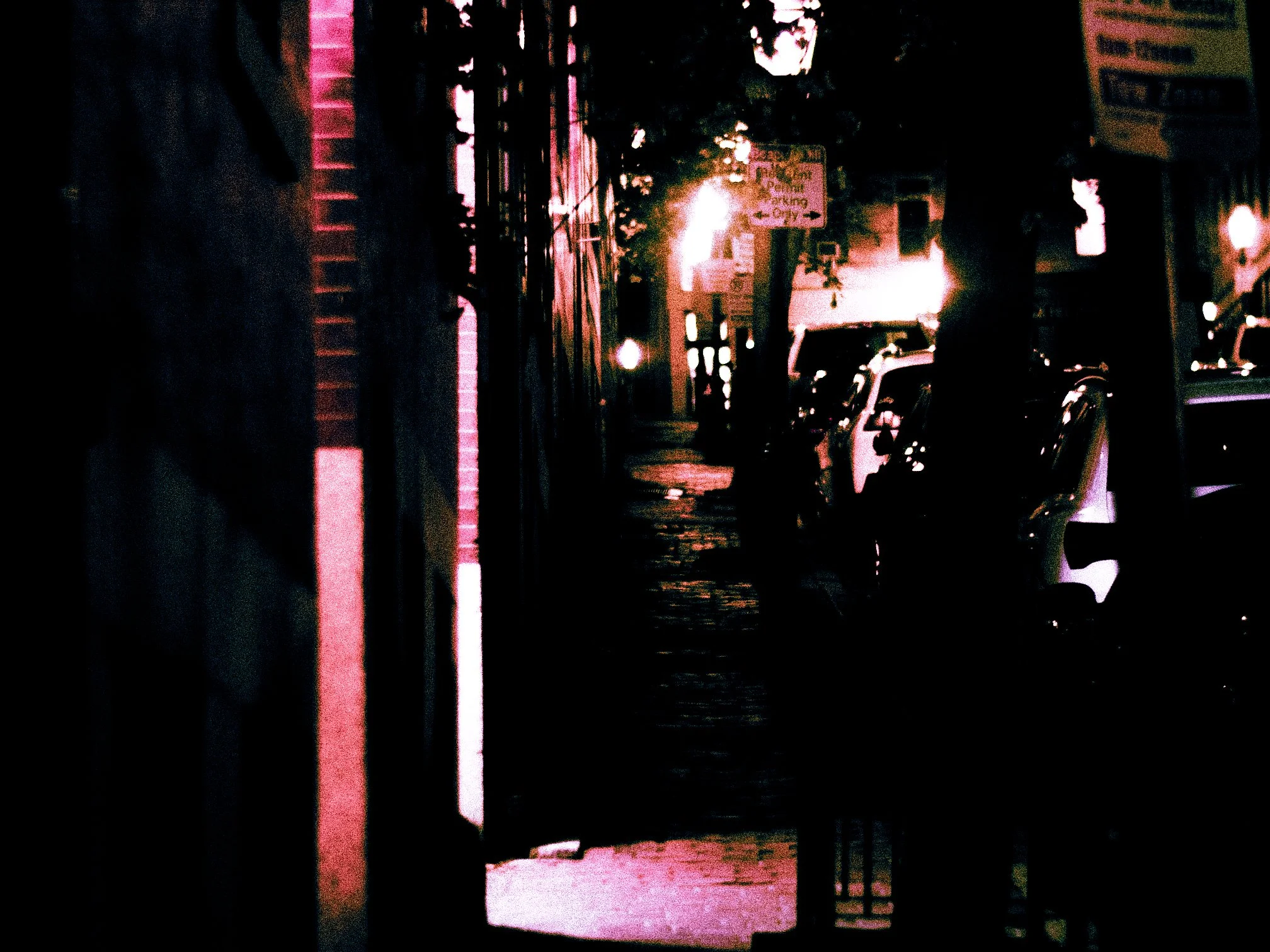 Tuesday_11_04_2025_GRAIN-14.jpg