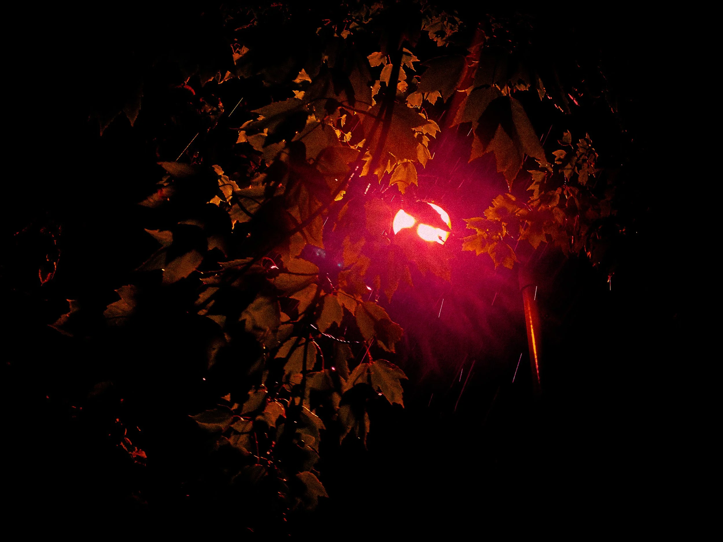 CRIMSON DOWNPOUR (A NIGHT UNDER OVERCAST) 