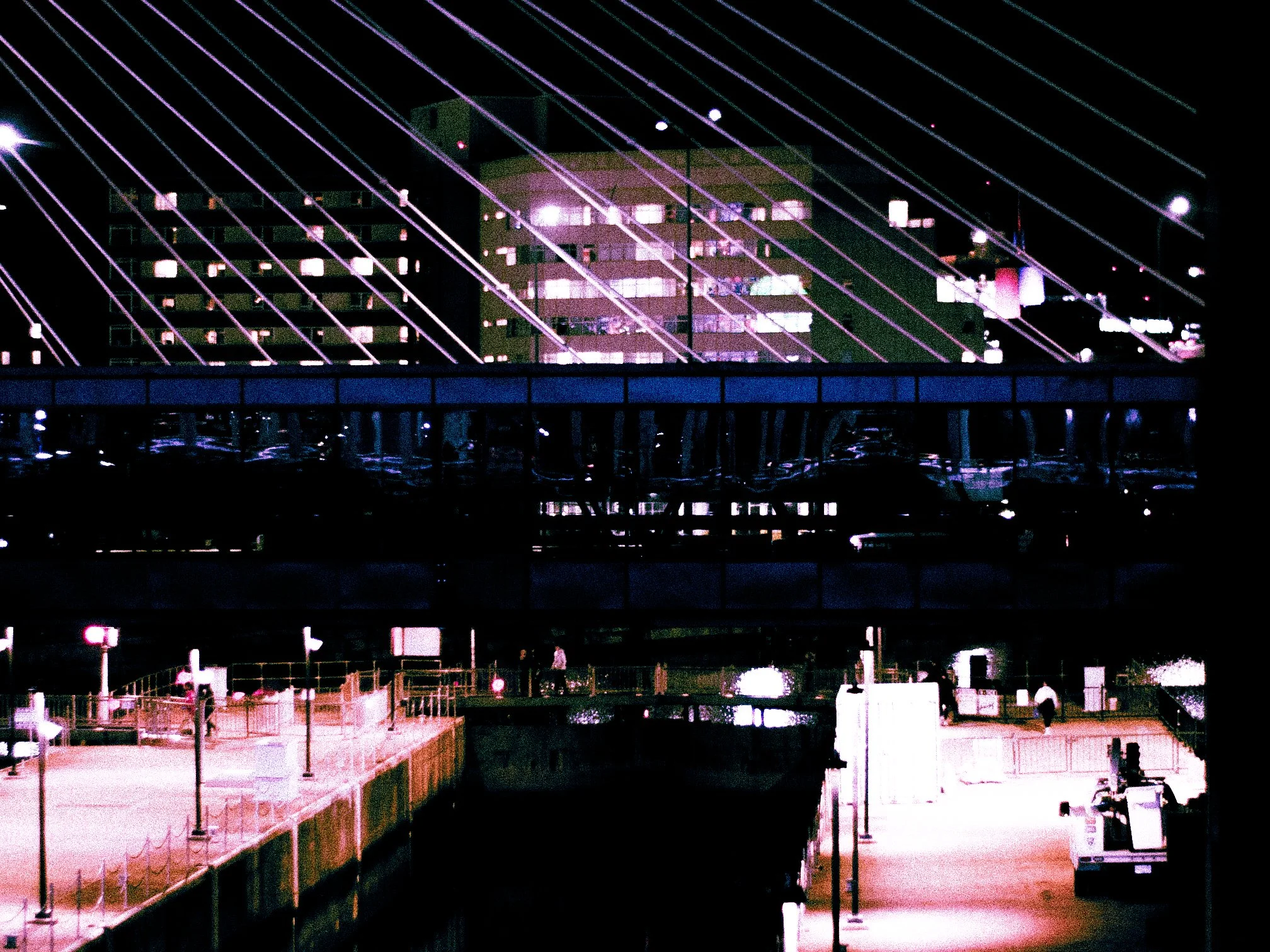 Tuesday_11_04_2025_GRAIN-22.jpg