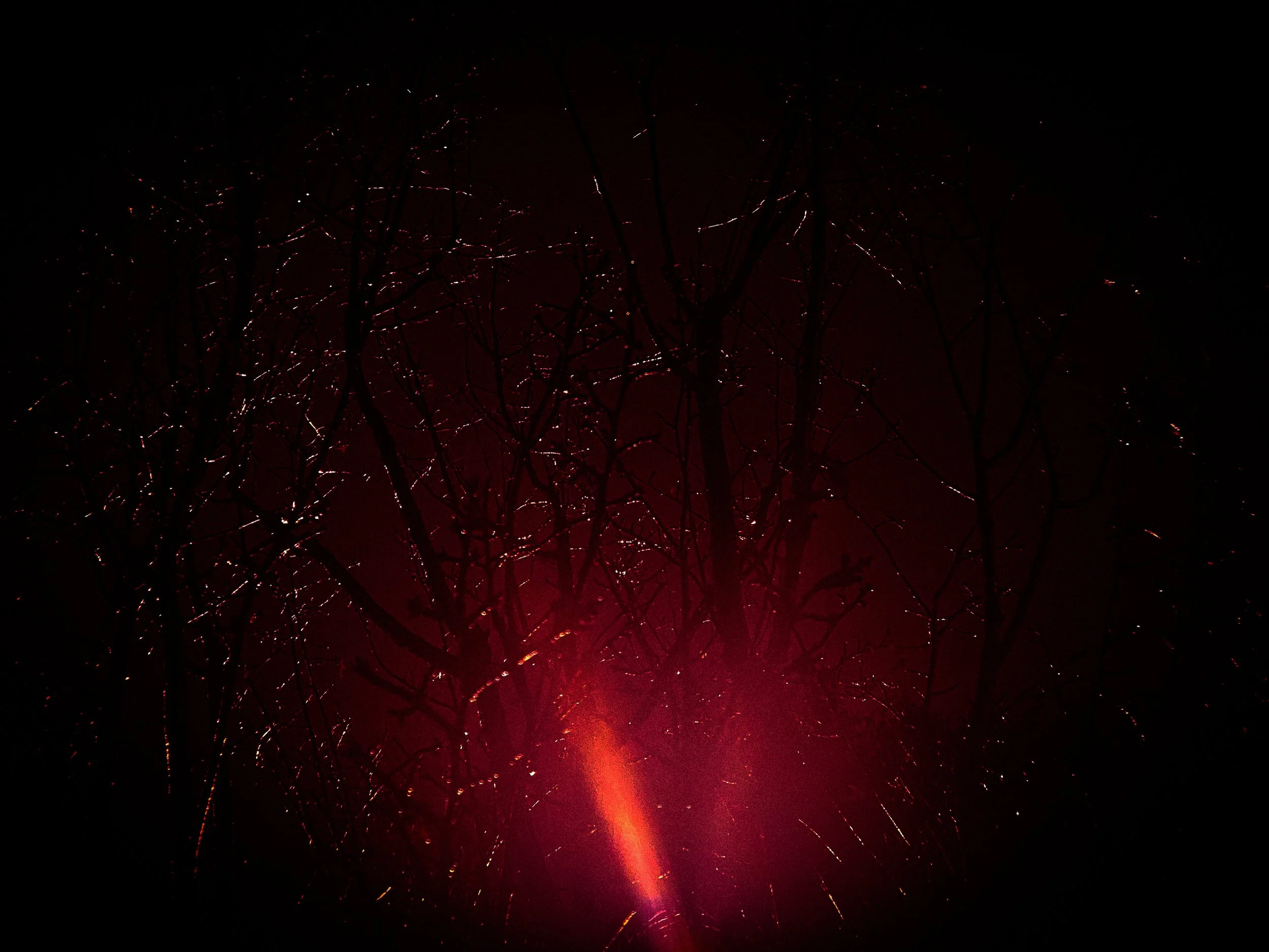 CRIMSON DOWNPOUR (A NIGHT UNDER OVERCAST) 