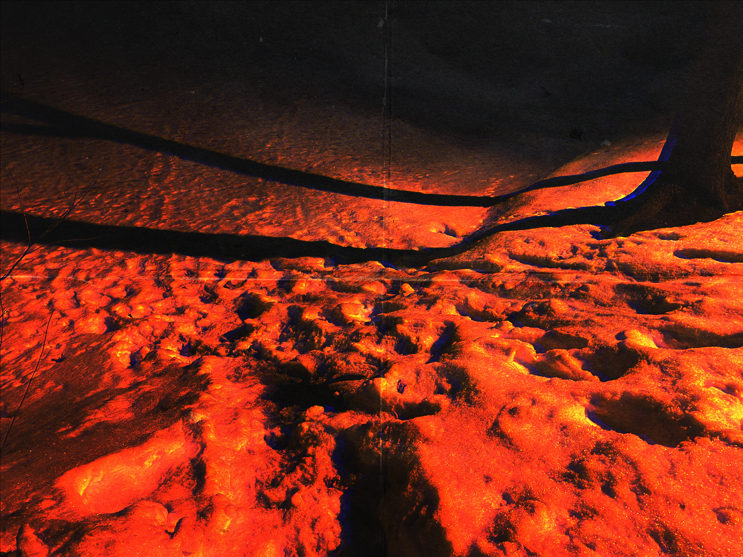 "SNOWBEDS (A SKY ON FIRE)"