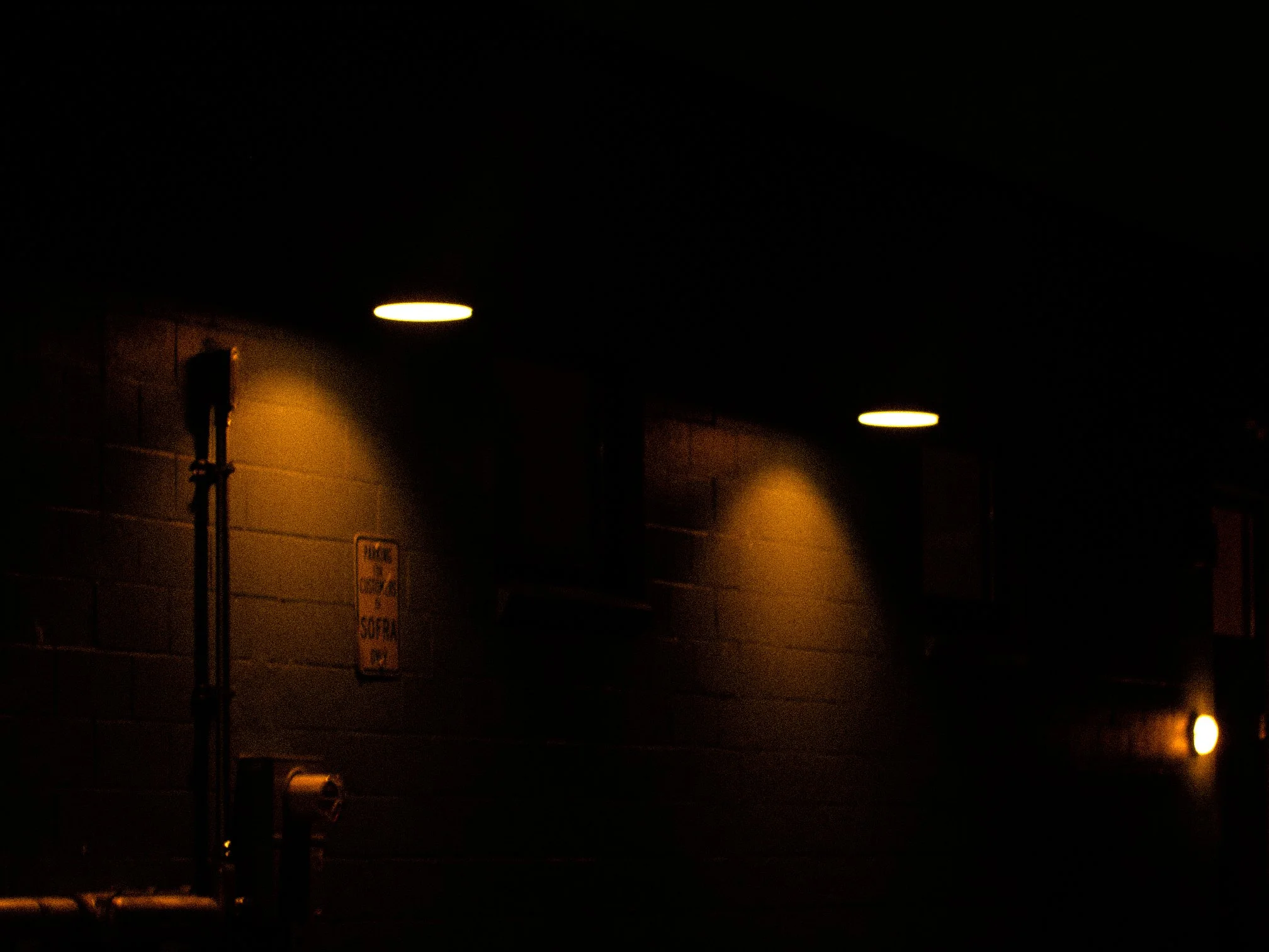 Thursday_09_18_2025_FILMGRAIN-02.jpg