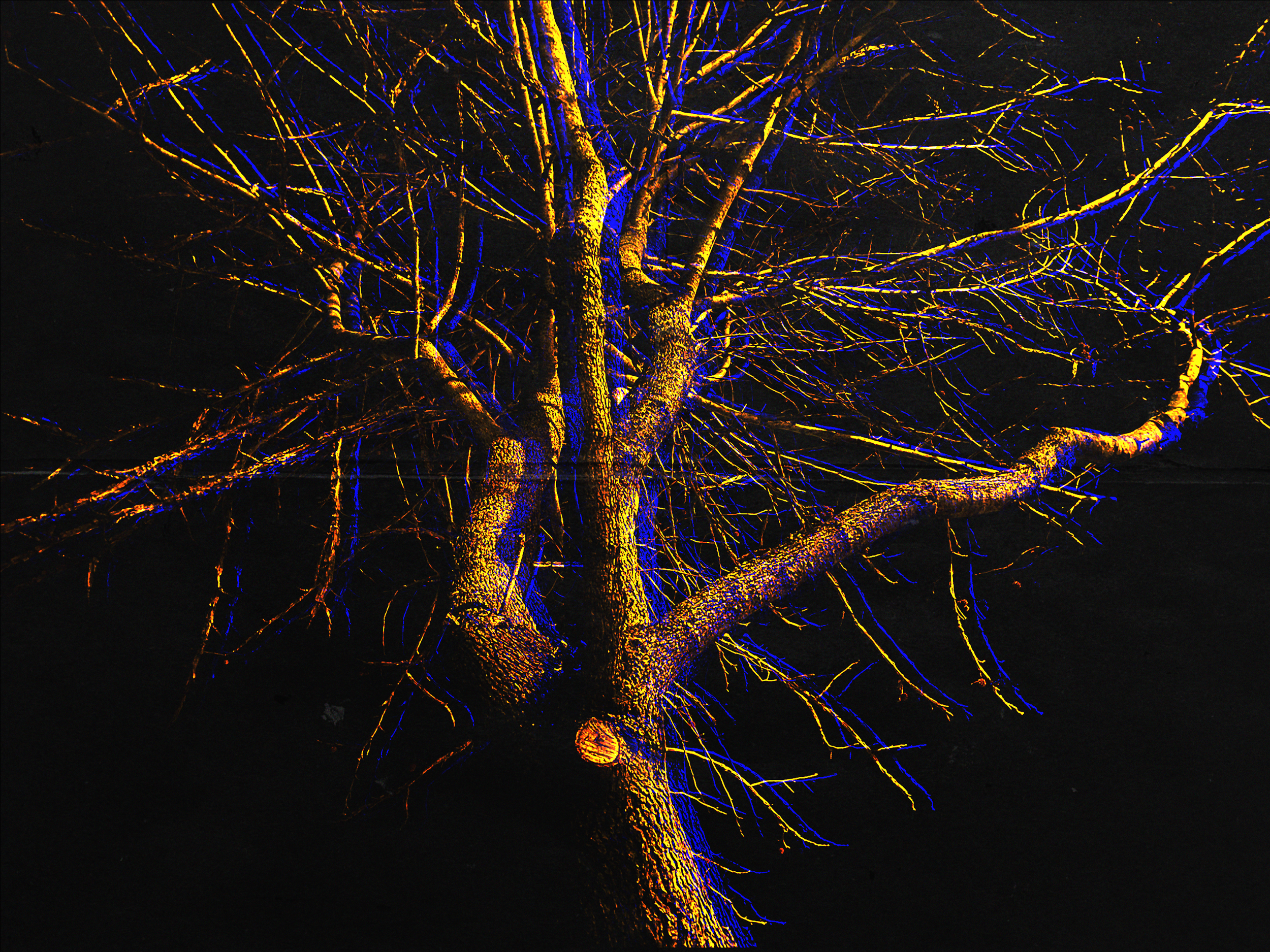 "SNOWBEDS (A SKY ON FIRE)"