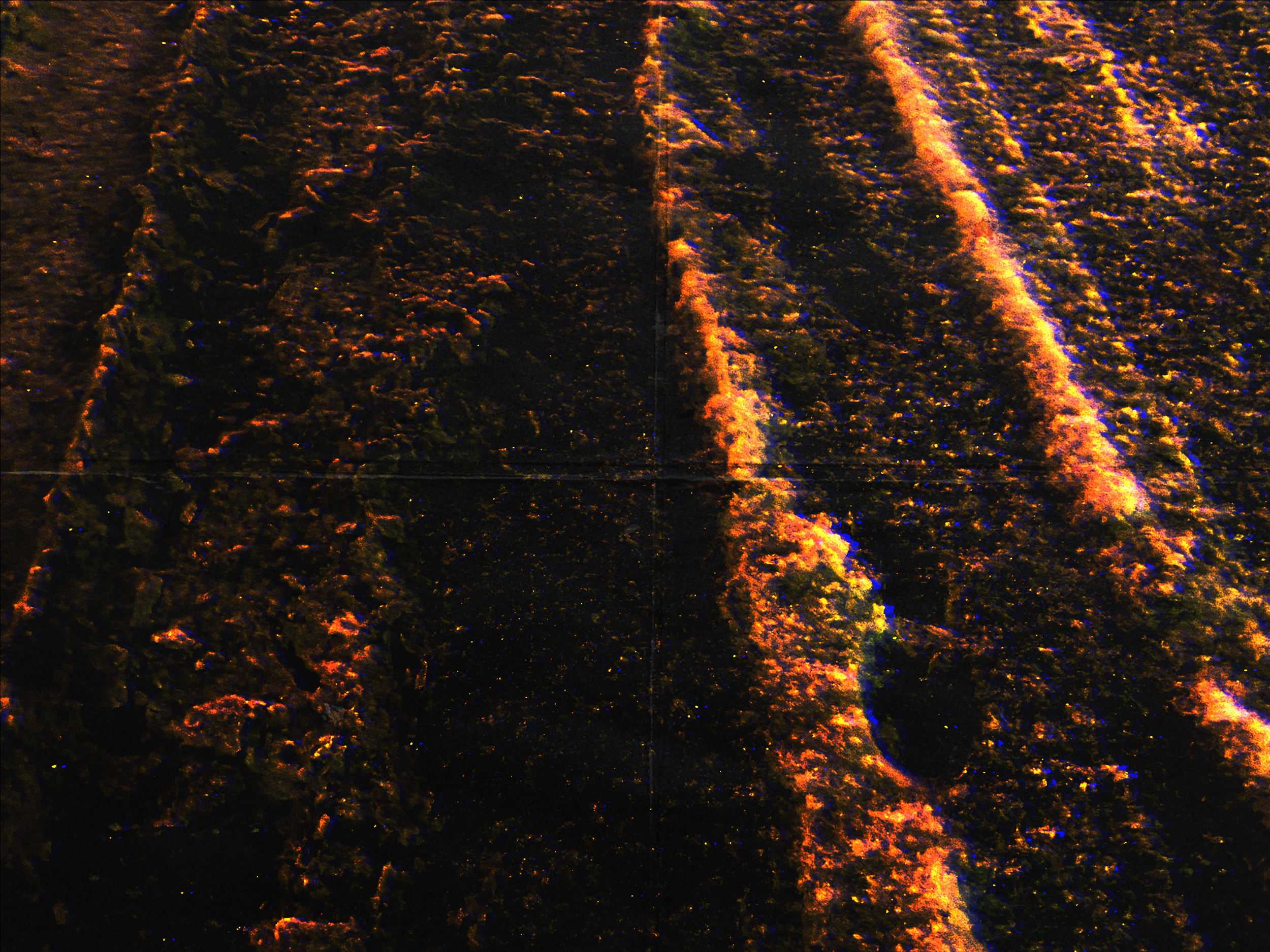"THE SNOWFALL & THE TRAVELER"