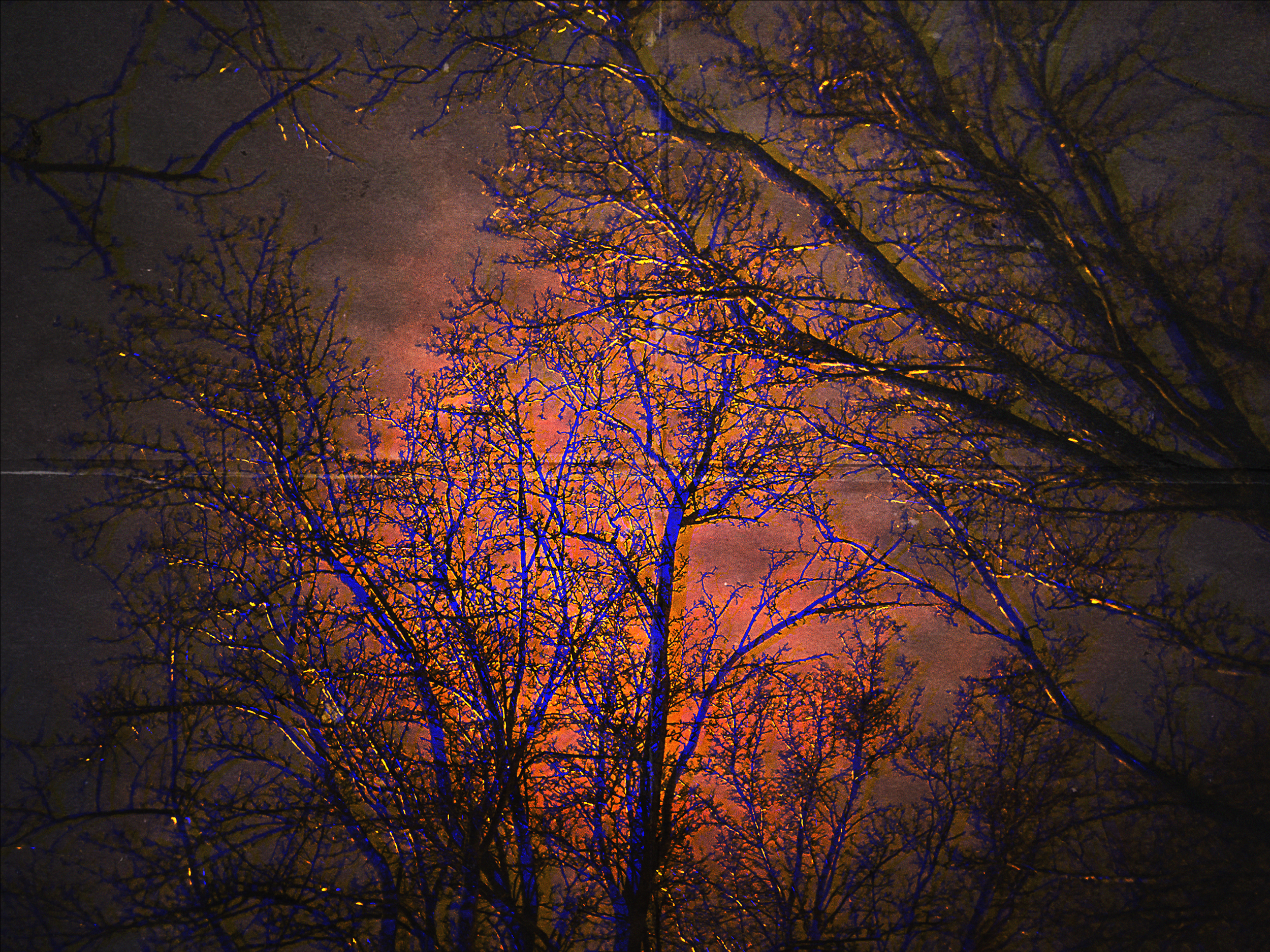 "SNOWBEDS (A SKY ON FIRE)"