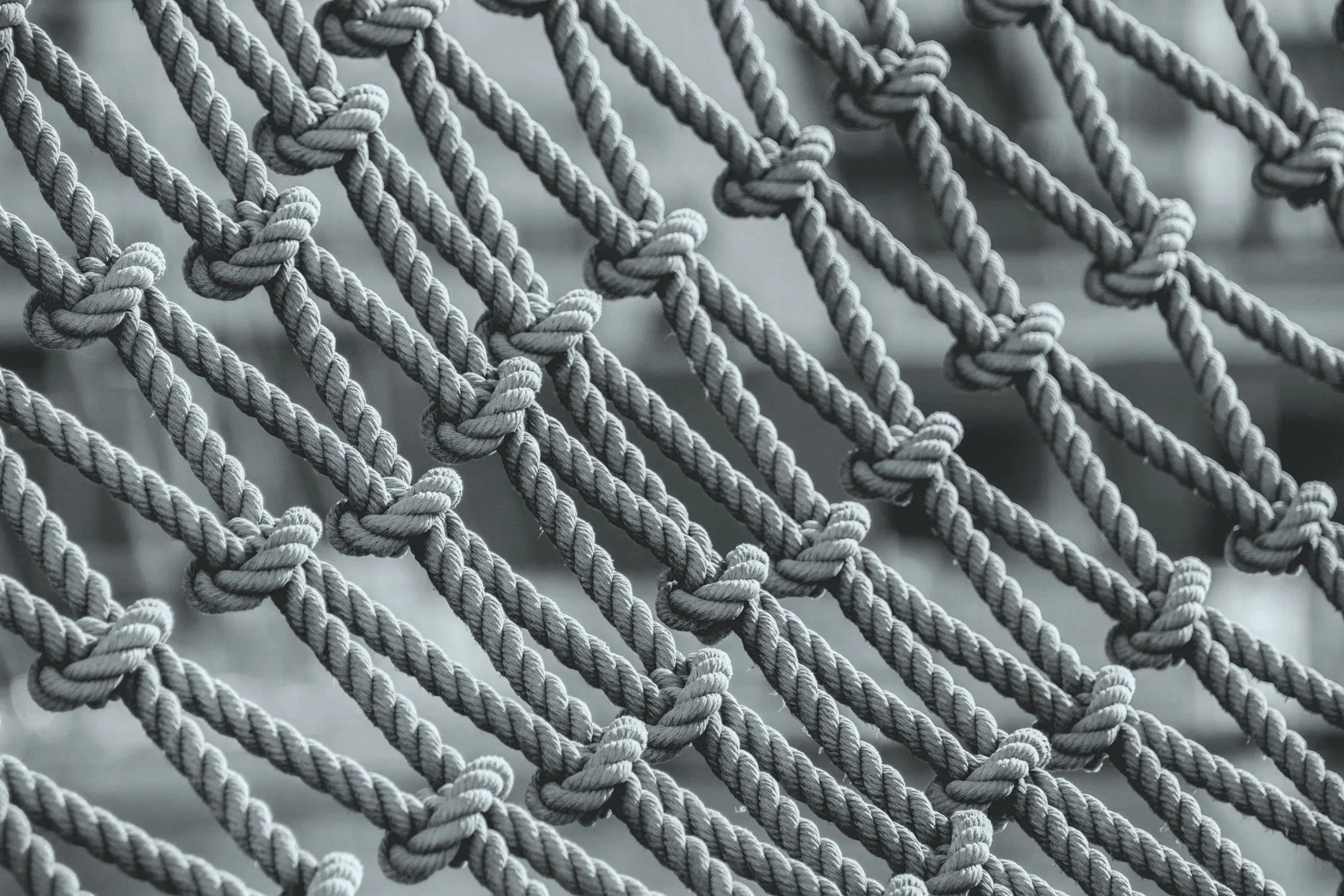 Opportunistic vs. Deliberate