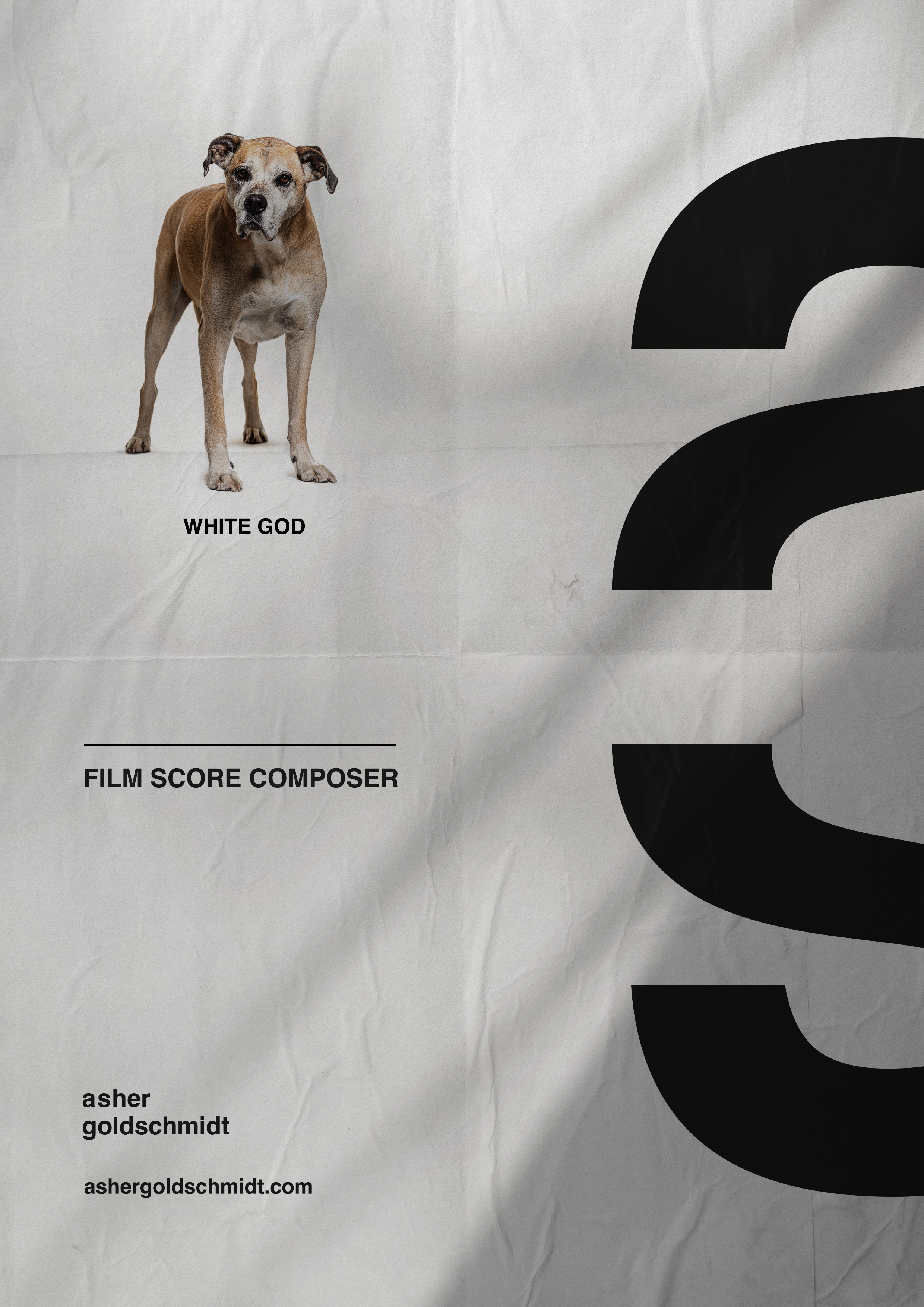 A poster with a dog labeled "White God" standing on a white cloth background, text "Film Score Composer" and the name "Asher Goldschmidt," along with a website link.