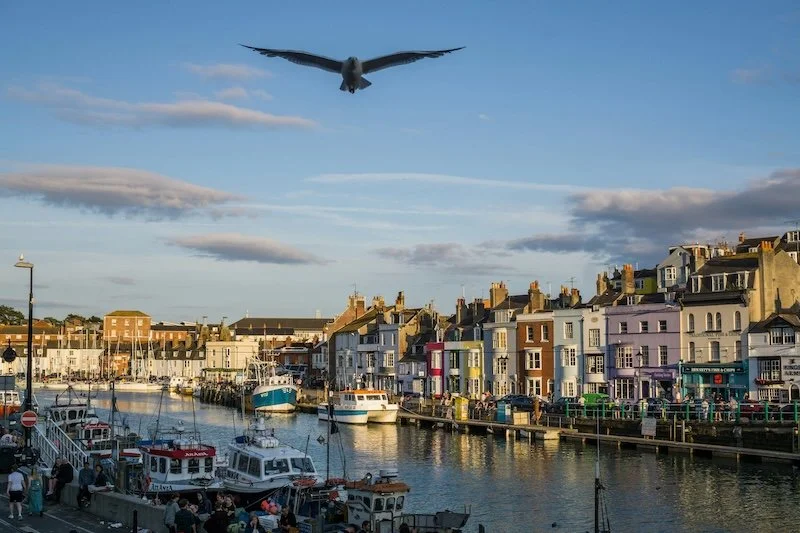 A harbour in Weymouth, Dorset, with boats docked, colorful buildings along the waterfront, and a seagull flying overhead on a partly cloudy day.