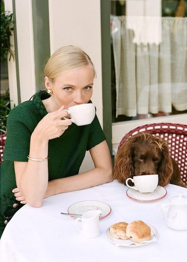 The Dog Mom Social