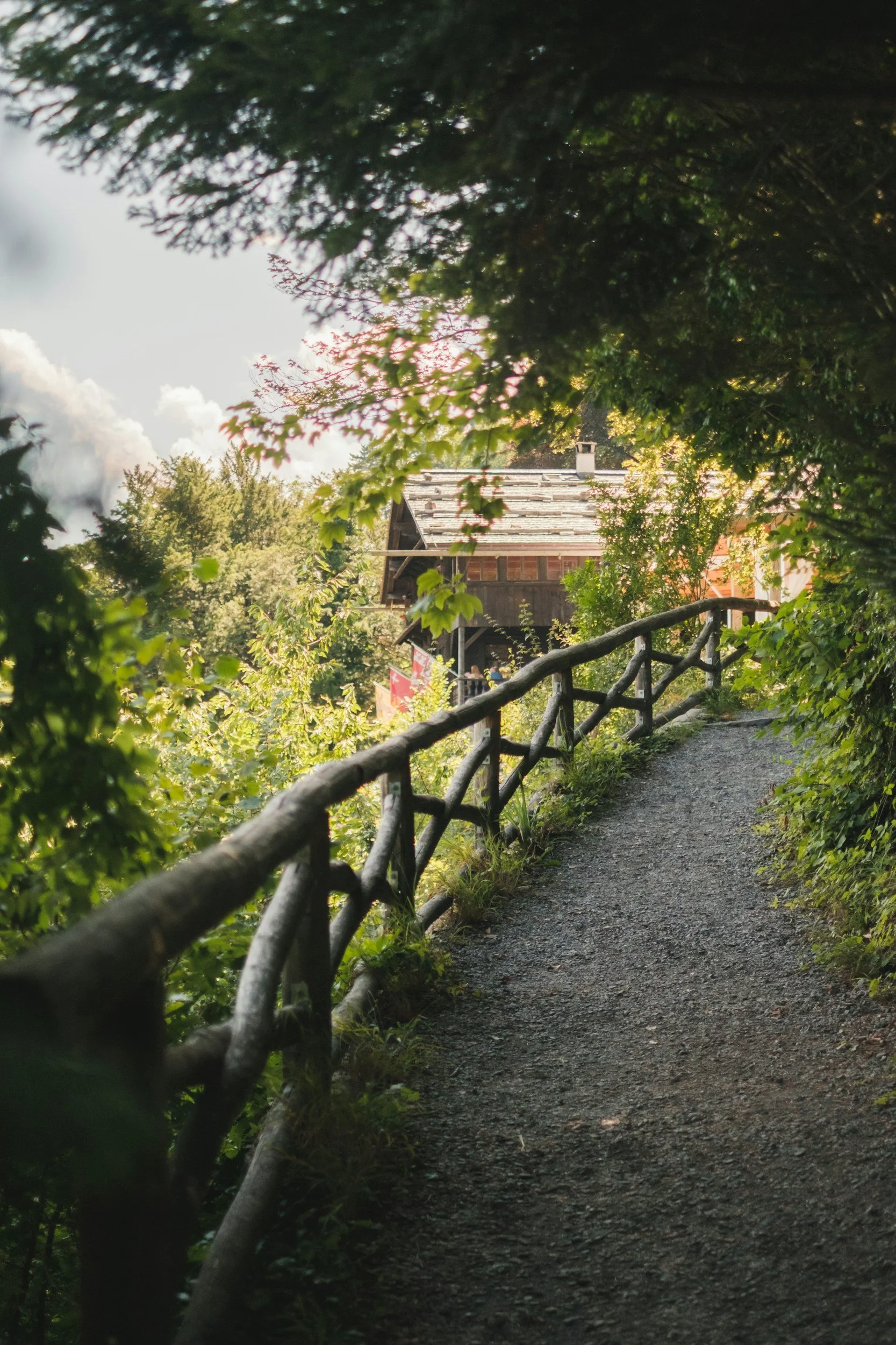 A narrow gravel walking trail with a wooden railing on one side, surrounded by dense green foliage, leading towards a house with a wooden plank roof in the distance.