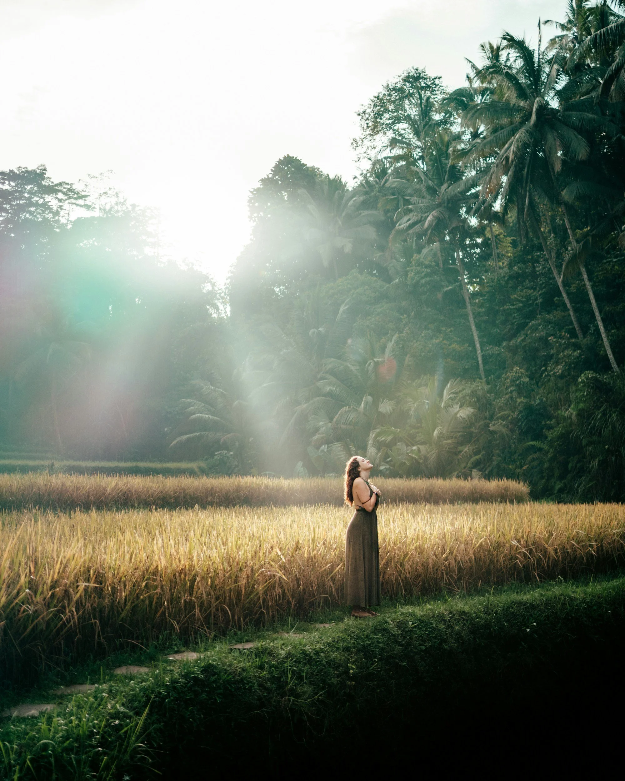 A woman standing in a rice field, looking up with her eyes closed, surrounded by tall green grass and dense tropical trees in the background, with the sun shining brightly and creating lens flare.