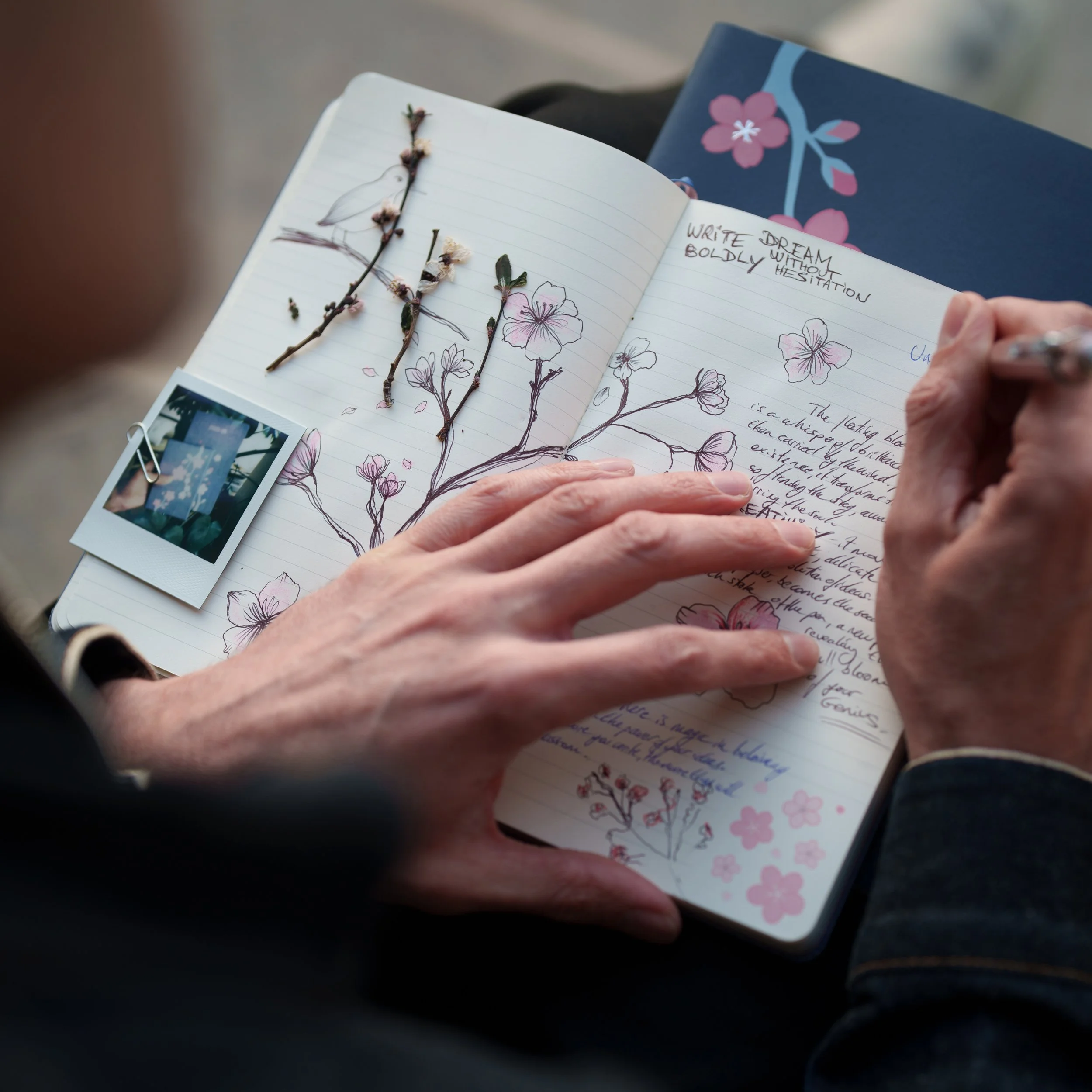Man sitting and sketching cherry blossoms close up.jpg