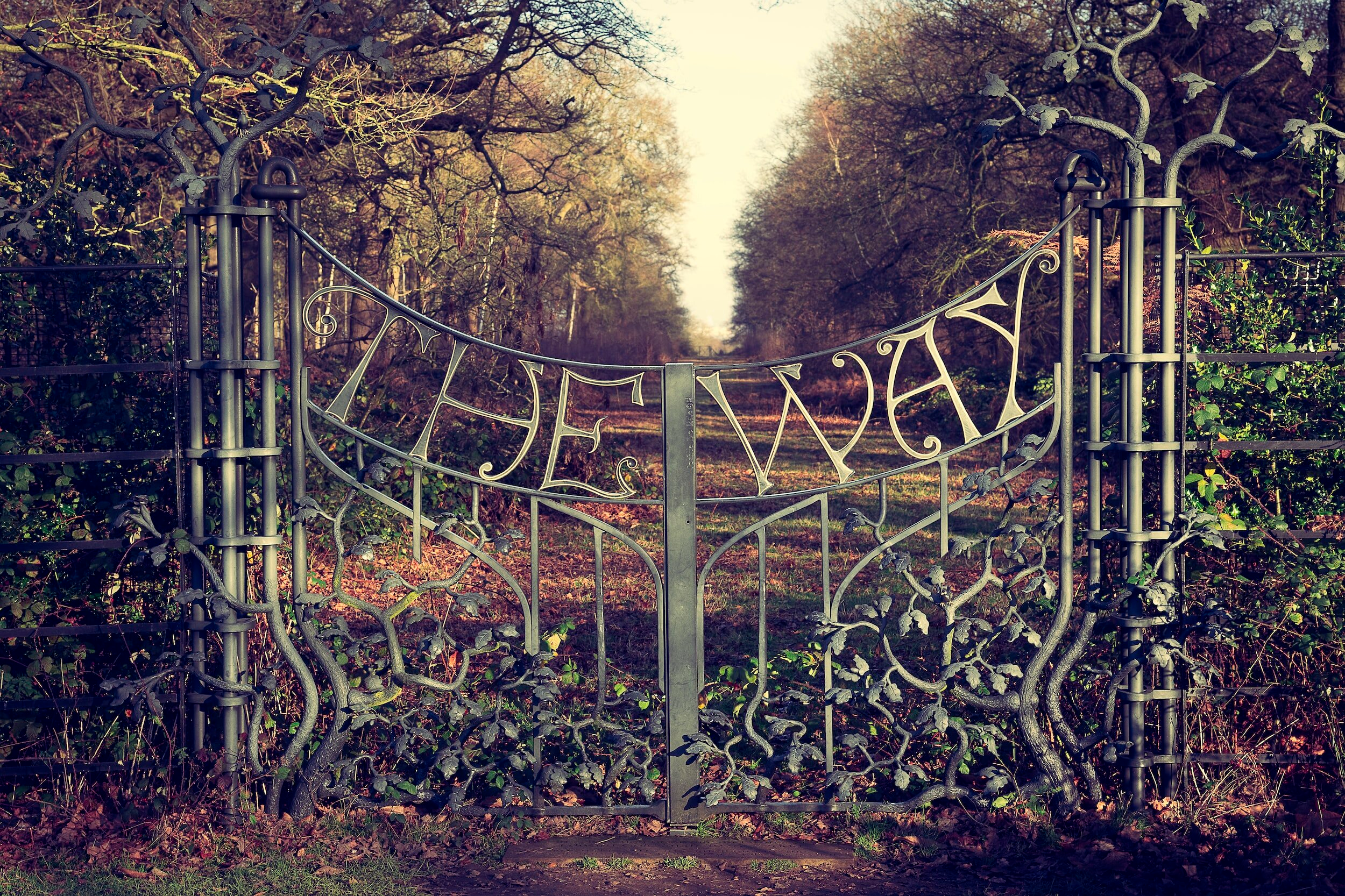 Boundaries save and suck