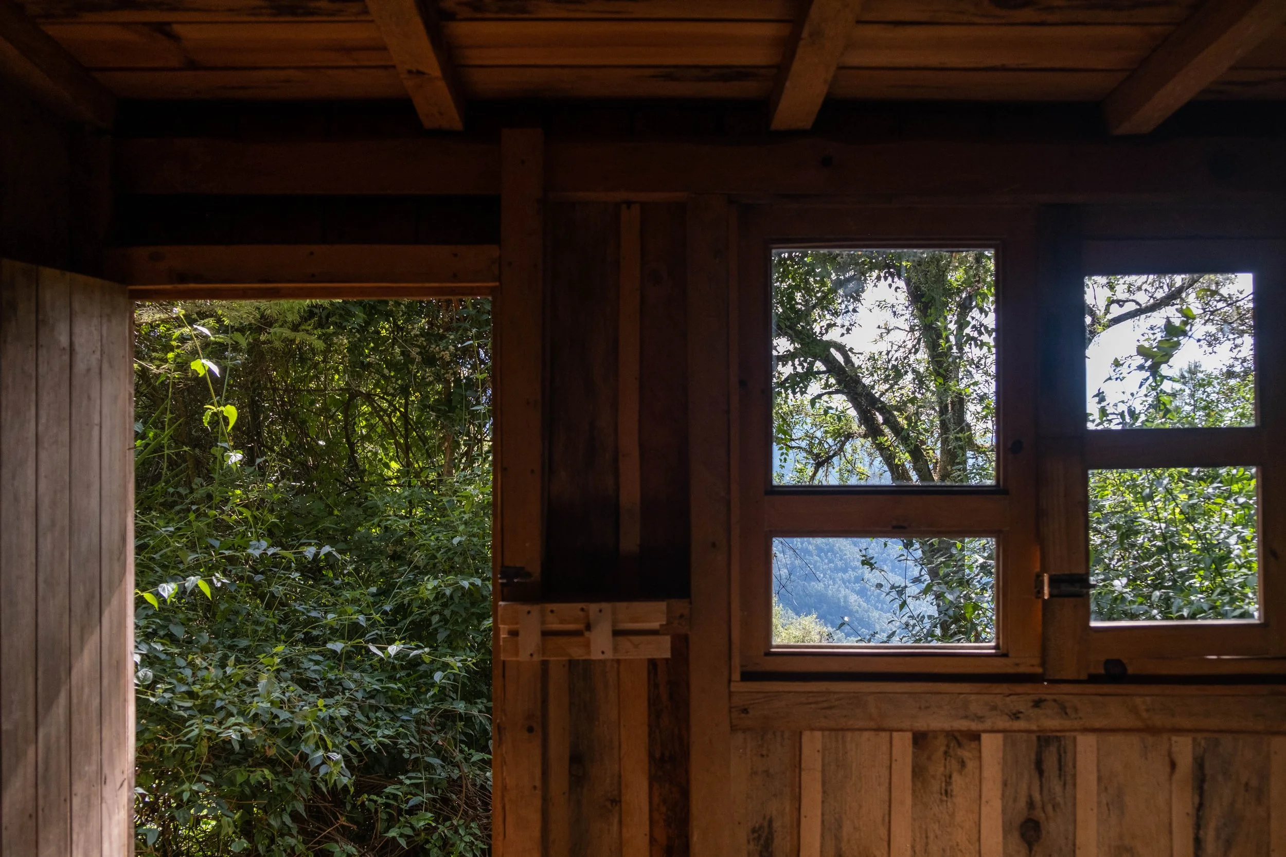 forest cabin