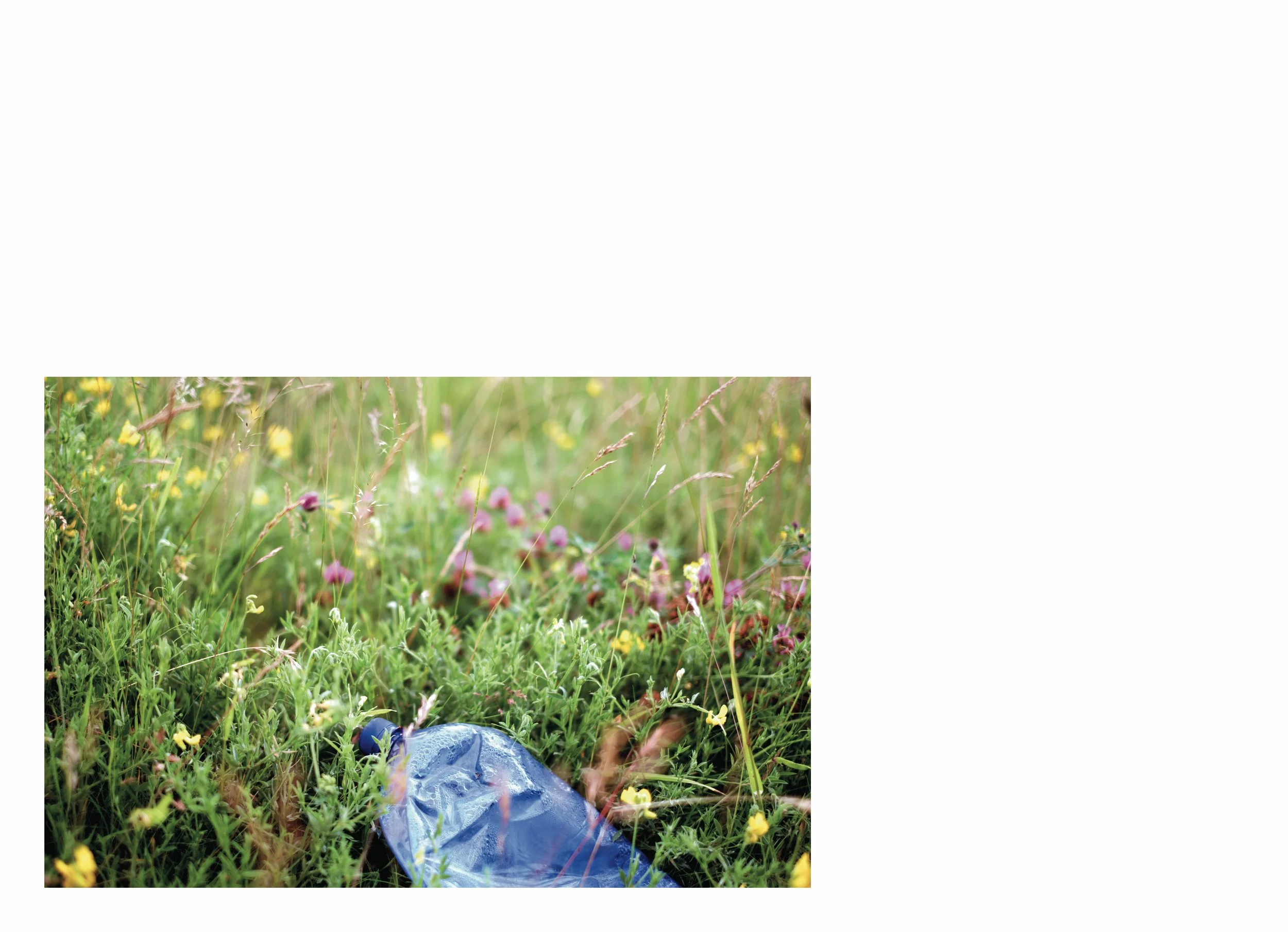 lttmoww B layout 14.5x21cm final NEW_53.jpg