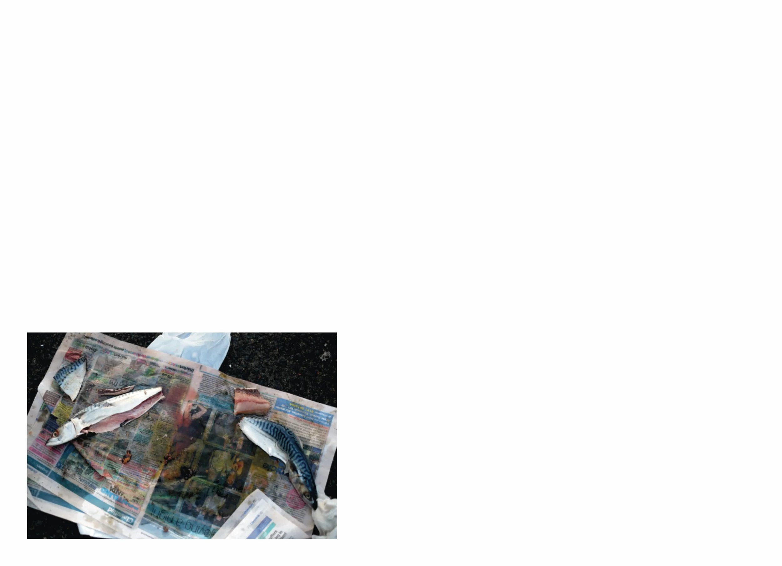 lttmoww B layout 14.5x21cm final NEW_11.jpg