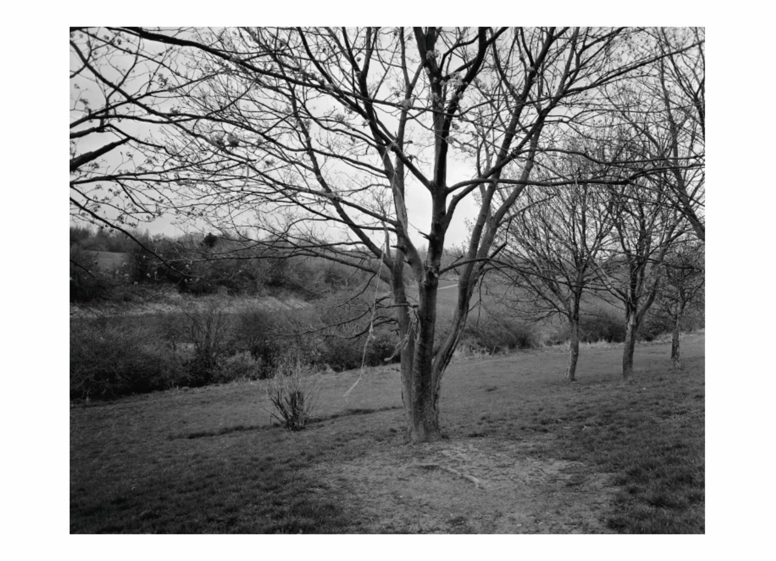 lttmoww B layout 14.5x21cm final NEW_161.jpg