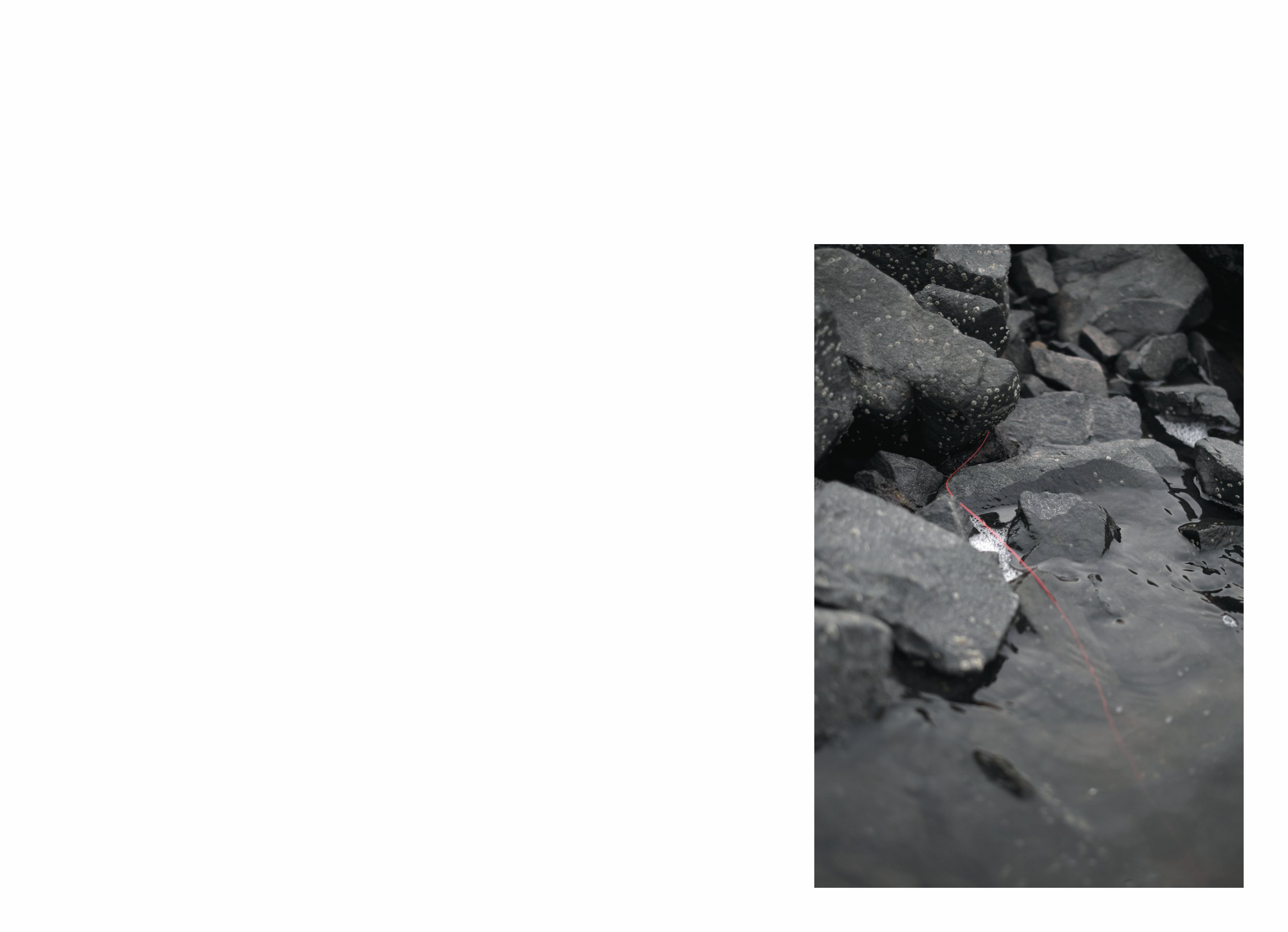 lttmoww B layout 14.5x21cm final NEW_2.jpg