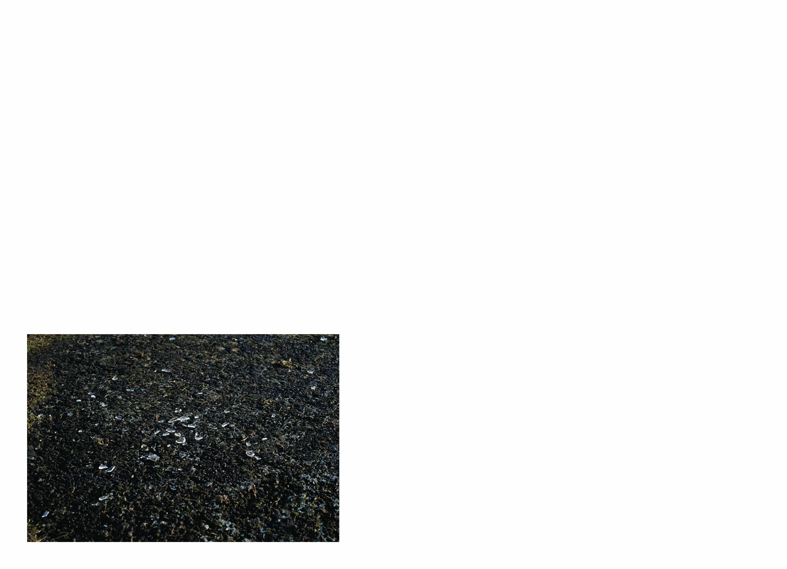 lttmoww B layout 14.5x21cm final NEW_193.jpg