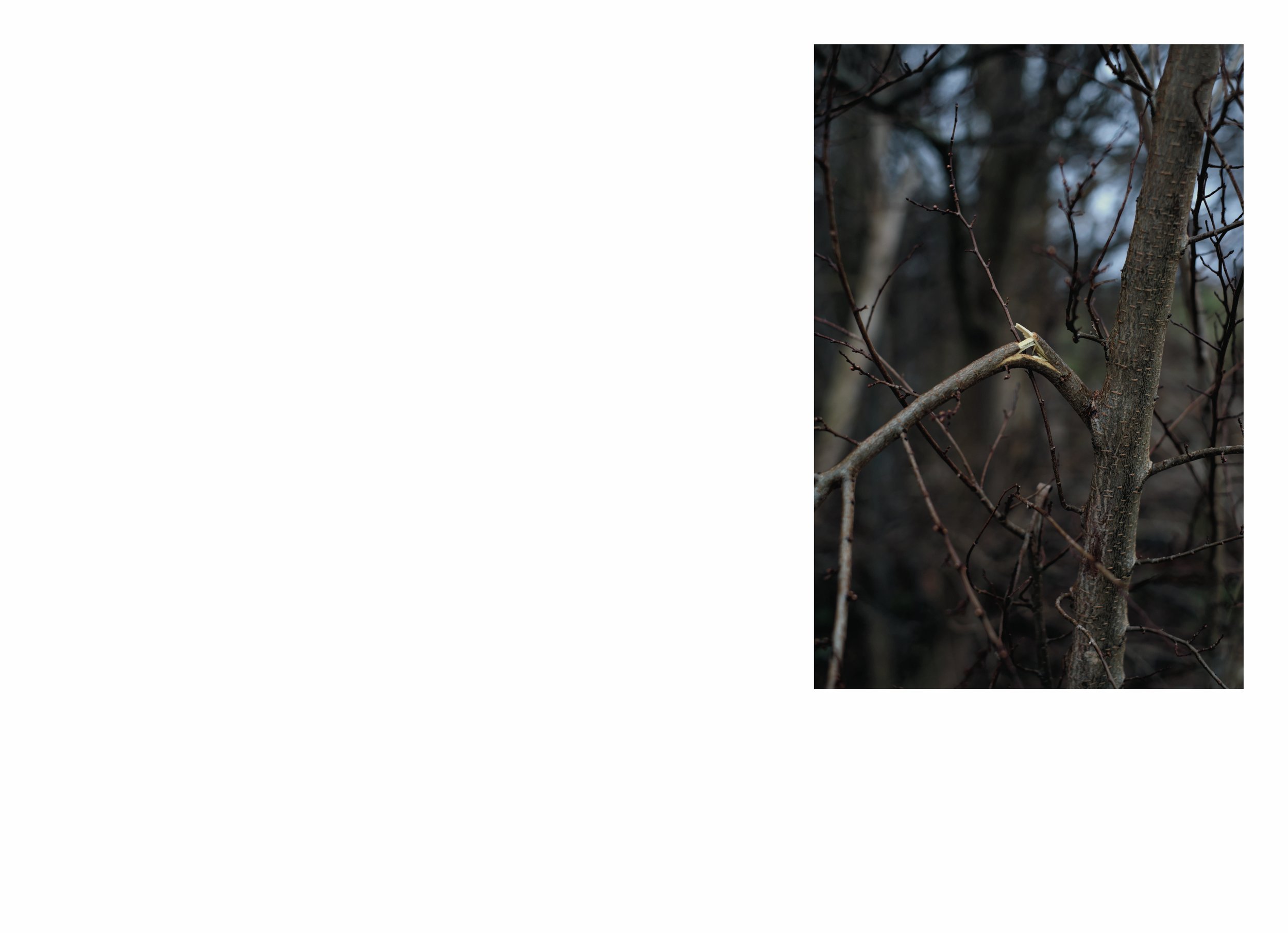 lttmoww B layout 14.5x21cm final NEW_99.jpg