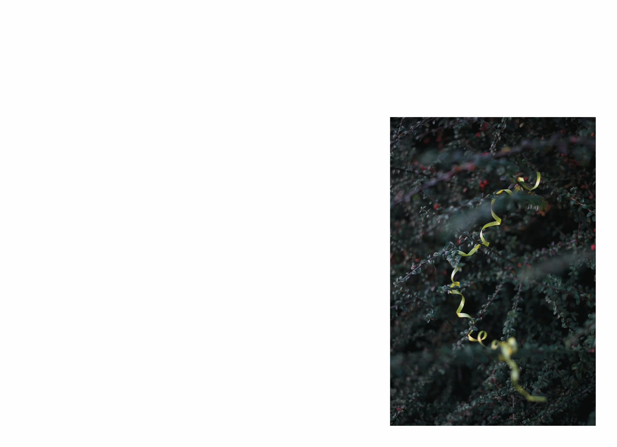 lttmoww B layout 14.5x21cm final NEW_79.jpg