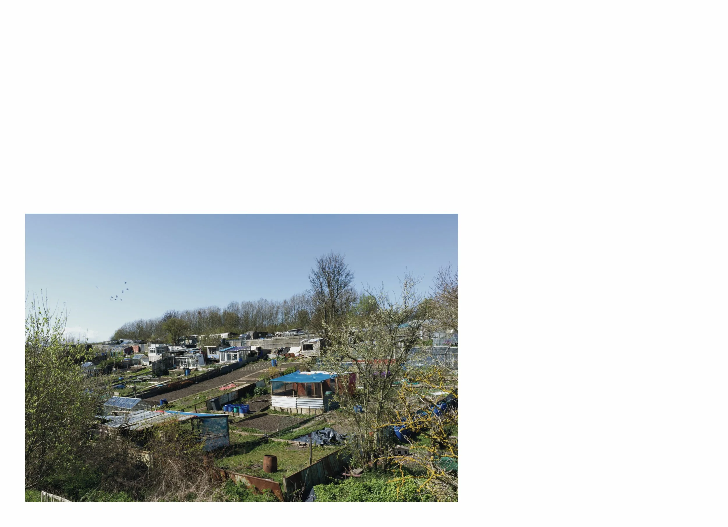 lttmoww B layout 14.5x21cm final NEW_50.jpg