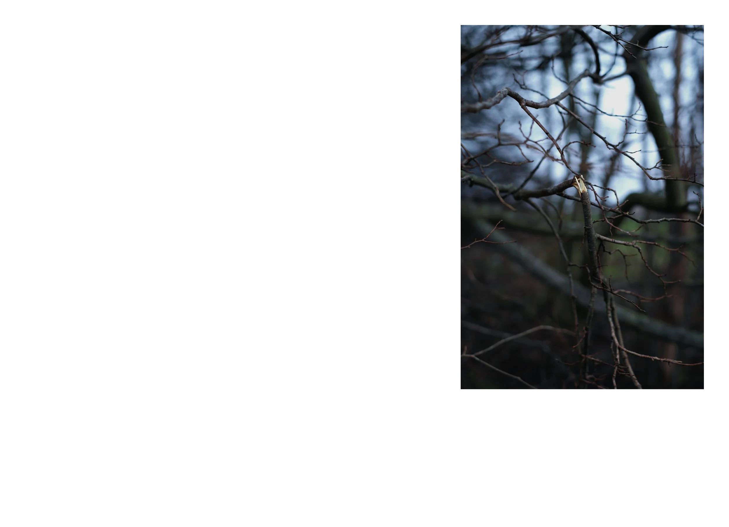 lttmoww B layout 14.5x21cm final NEW_97.jpg