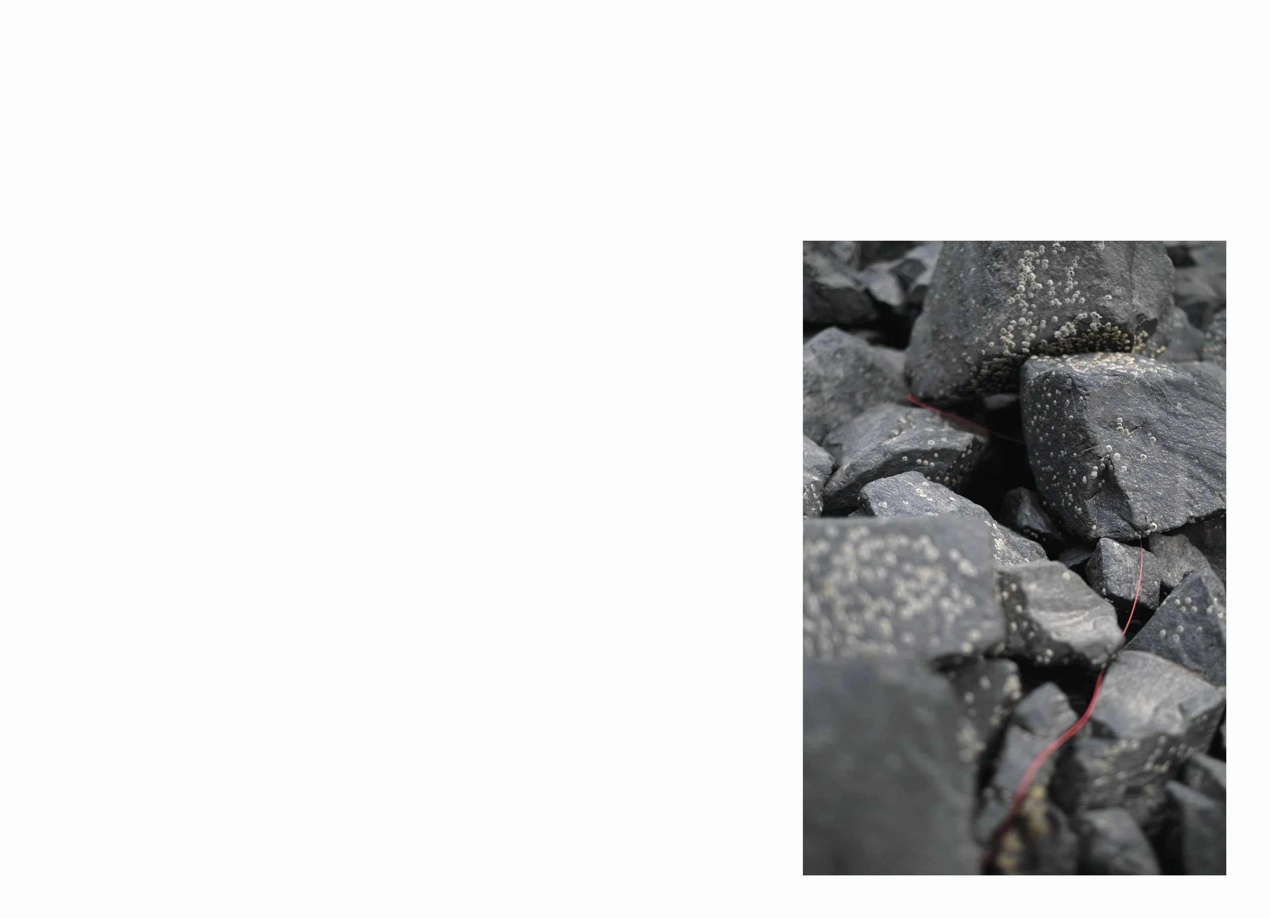 lttmoww B layout 14.5x21cm final NEW_4.jpg