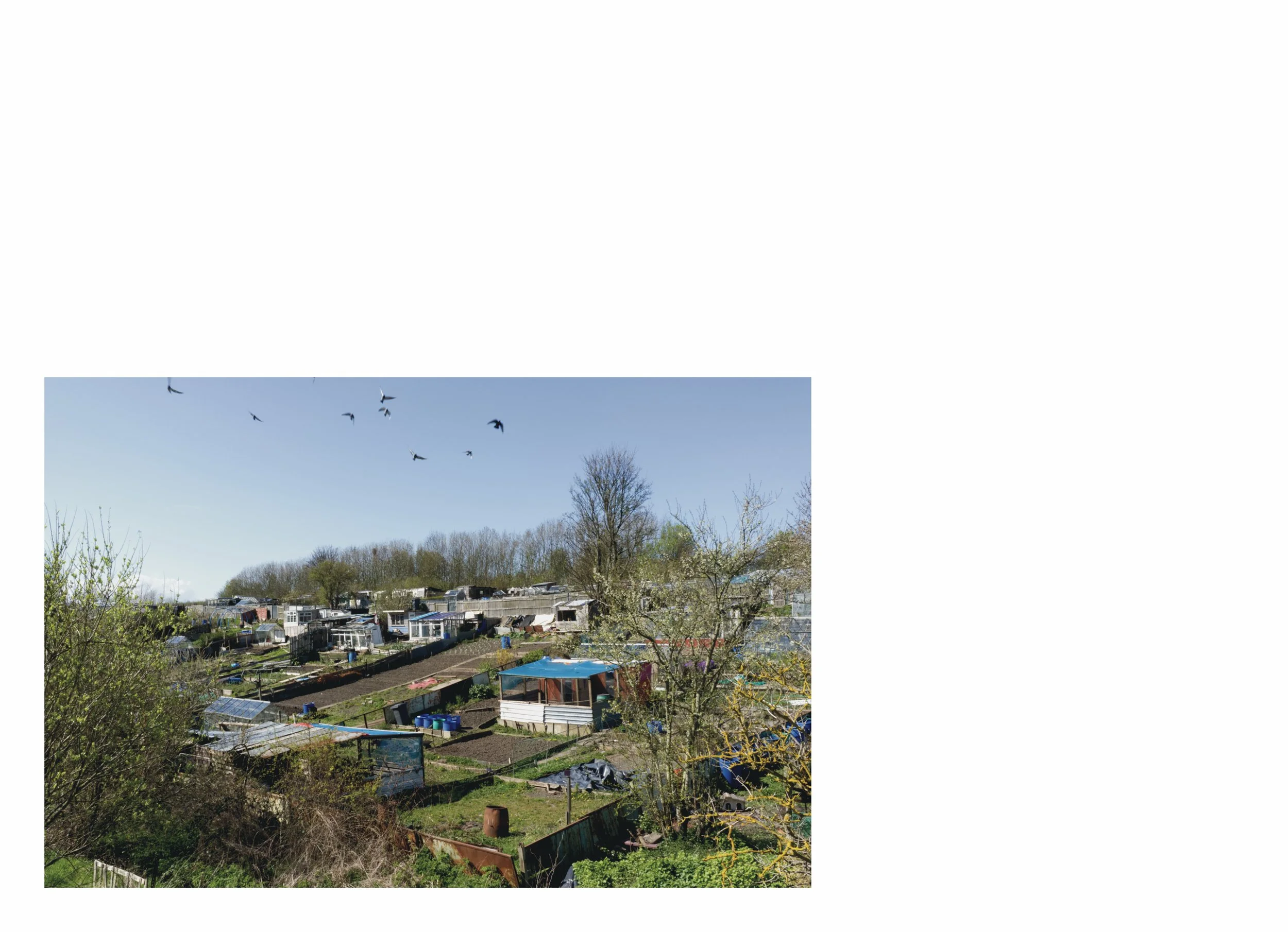 lttmoww B layout 14.5x21cm final NEW_49.jpg