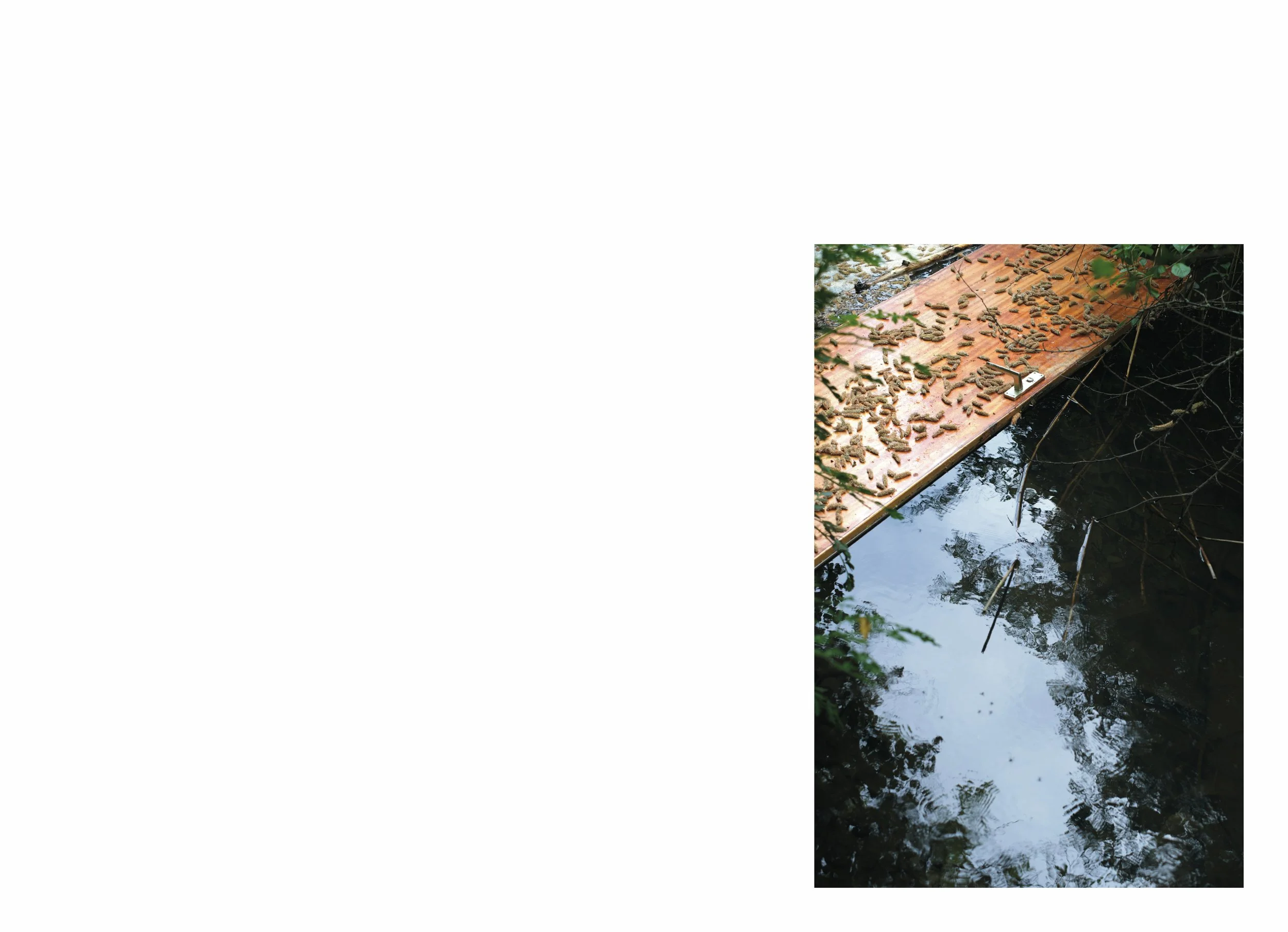 lttmoww B layout 14.5x21cm final NEW_54.jpg