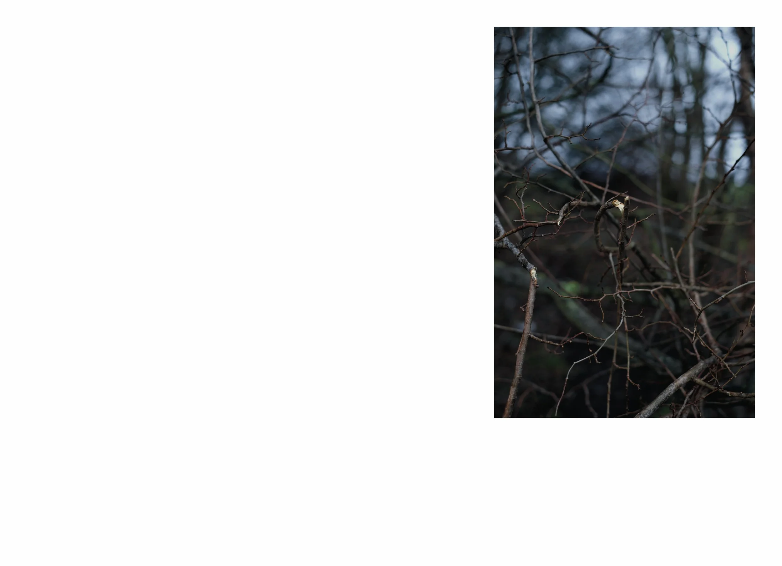 lttmoww B layout 14.5x21cm final NEW_98.jpg