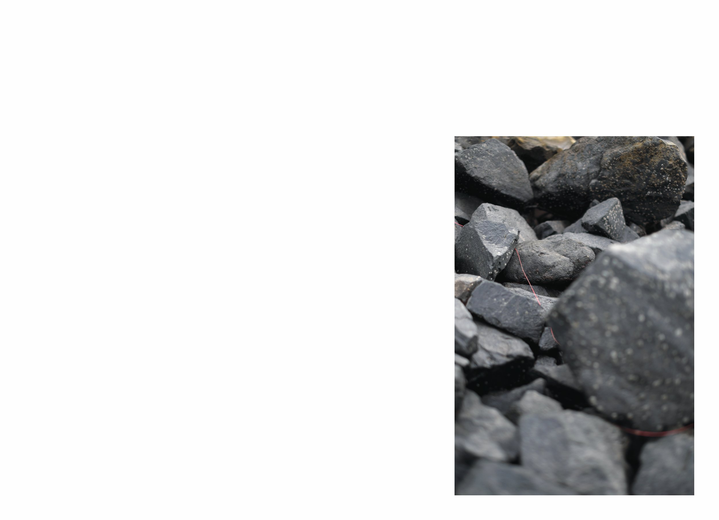 lttmoww B layout 14.5x21cm final NEW_6.jpg