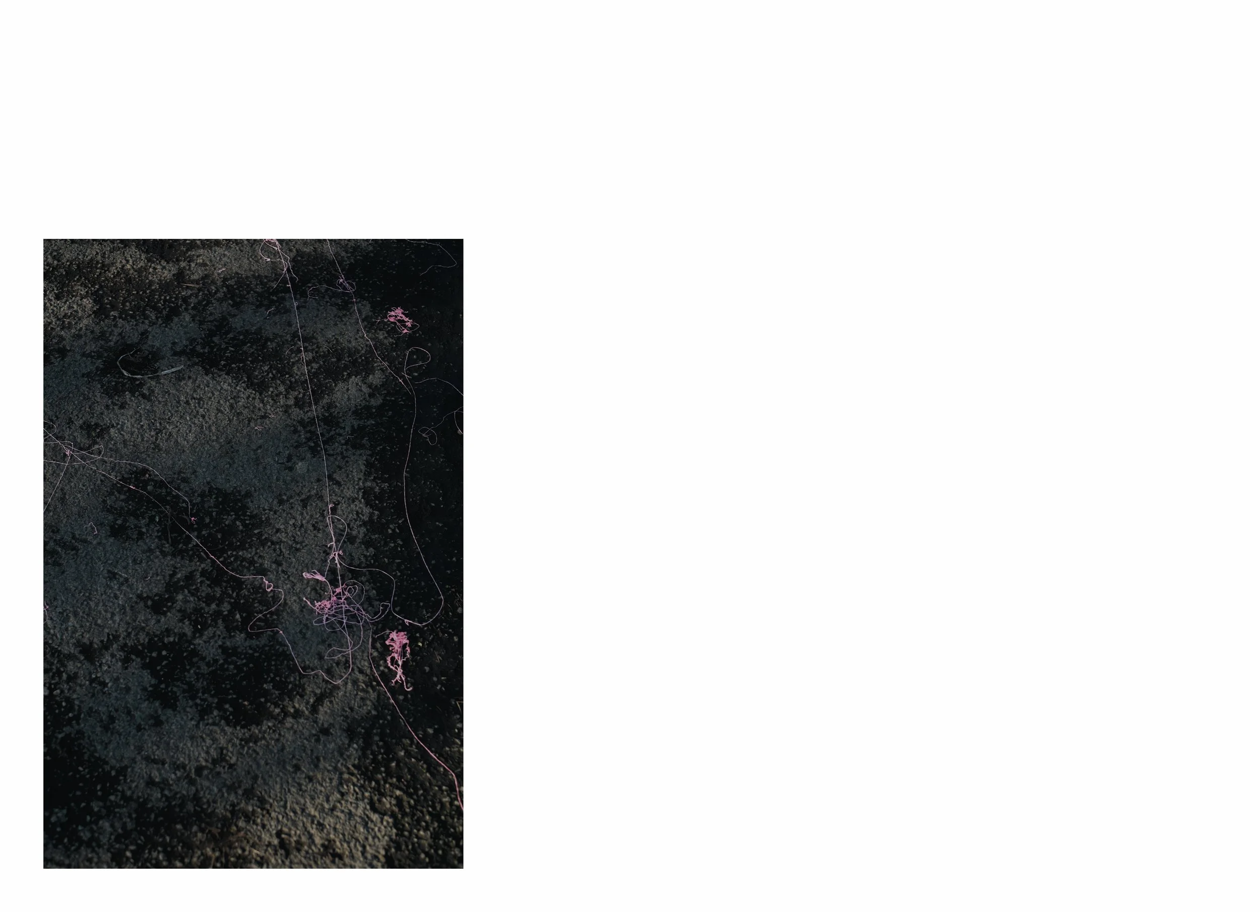 lttmoww B layout 14.5x21cm final NEW_197.jpg