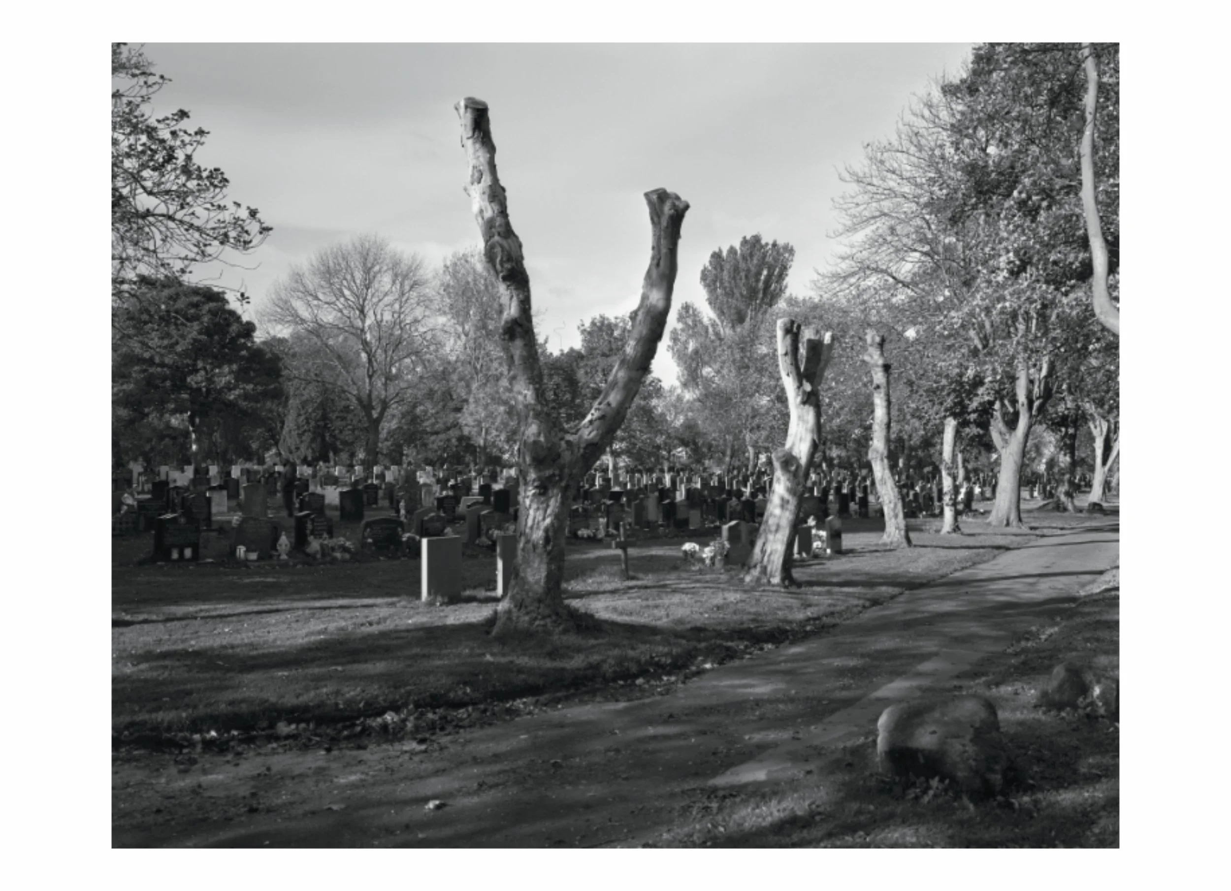 lttmoww B layout 14.5x21cm final NEW_181.jpg