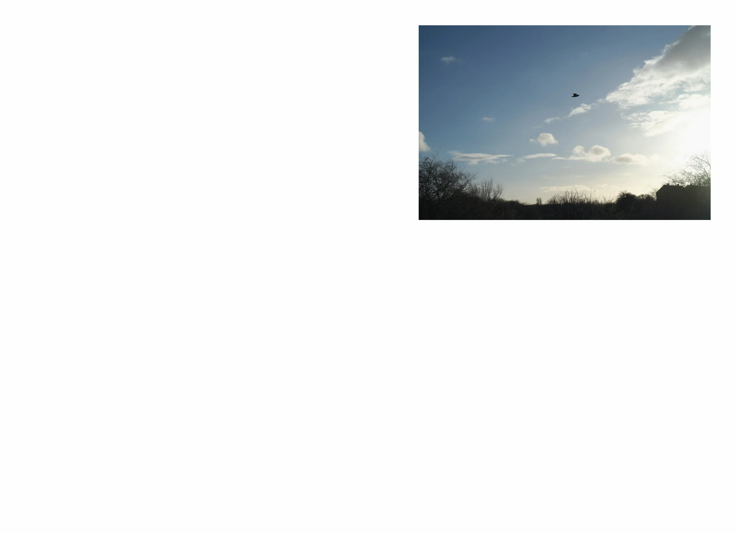 lttmoww B layout 14.5x21cm final NEW_43.jpg