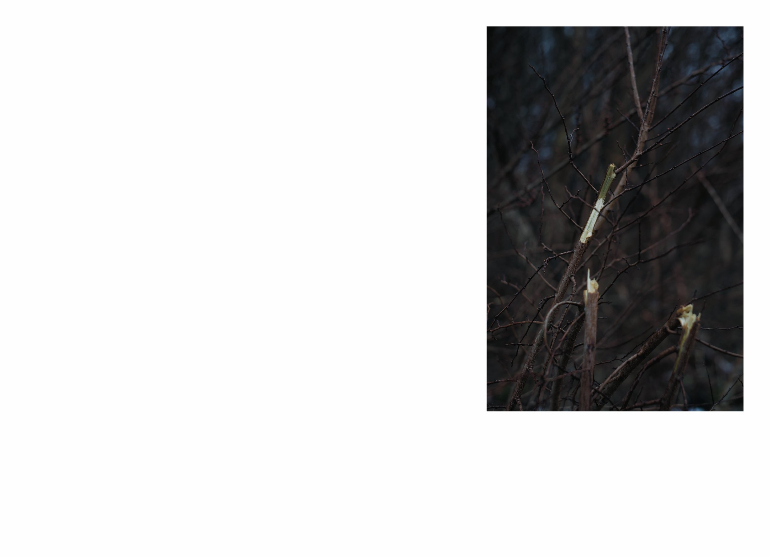 lttmoww B layout 14.5x21cm final NEW_110.jpg