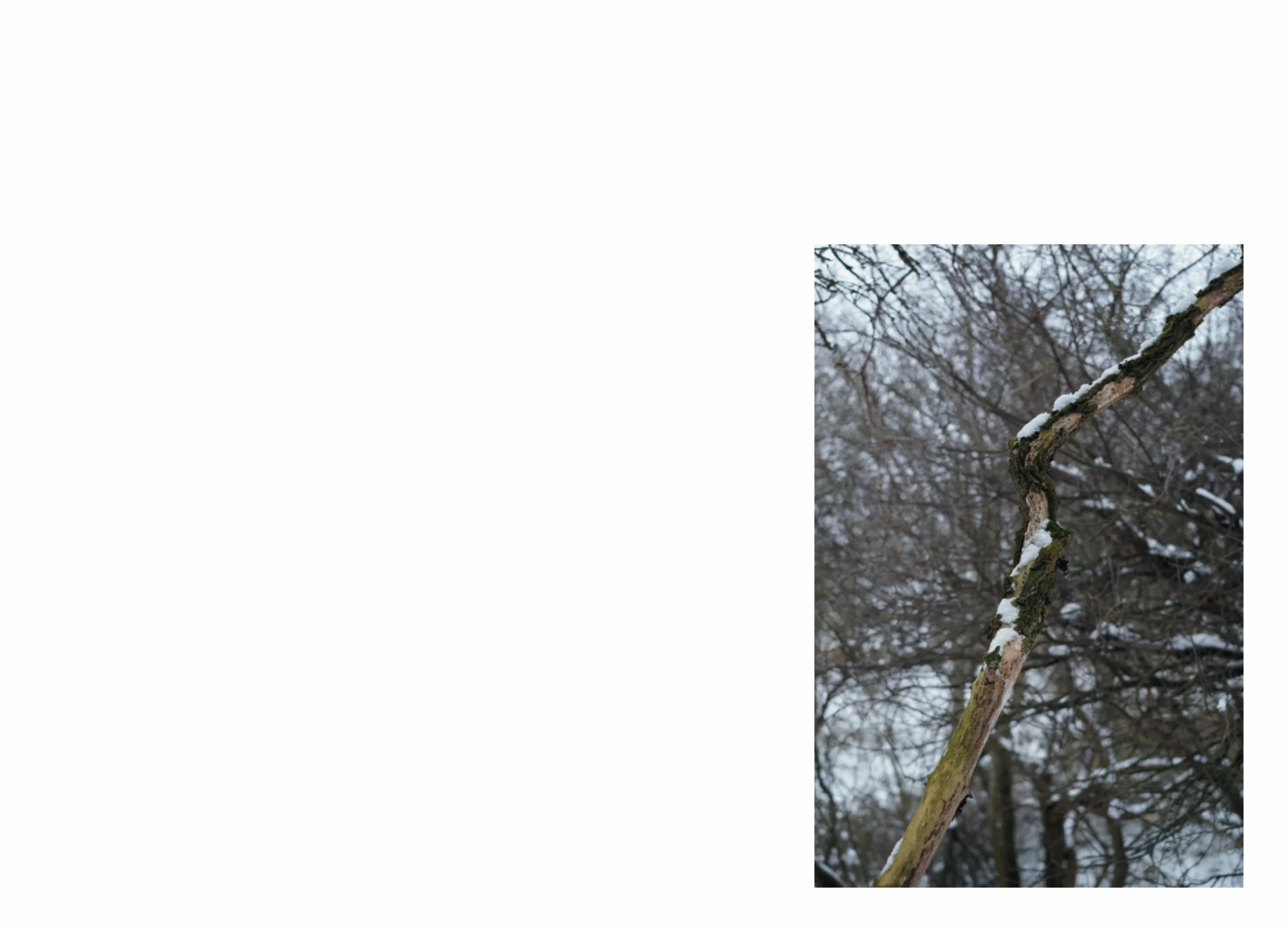 lttmoww B layout 14.5x21cm final NEW_83.jpg