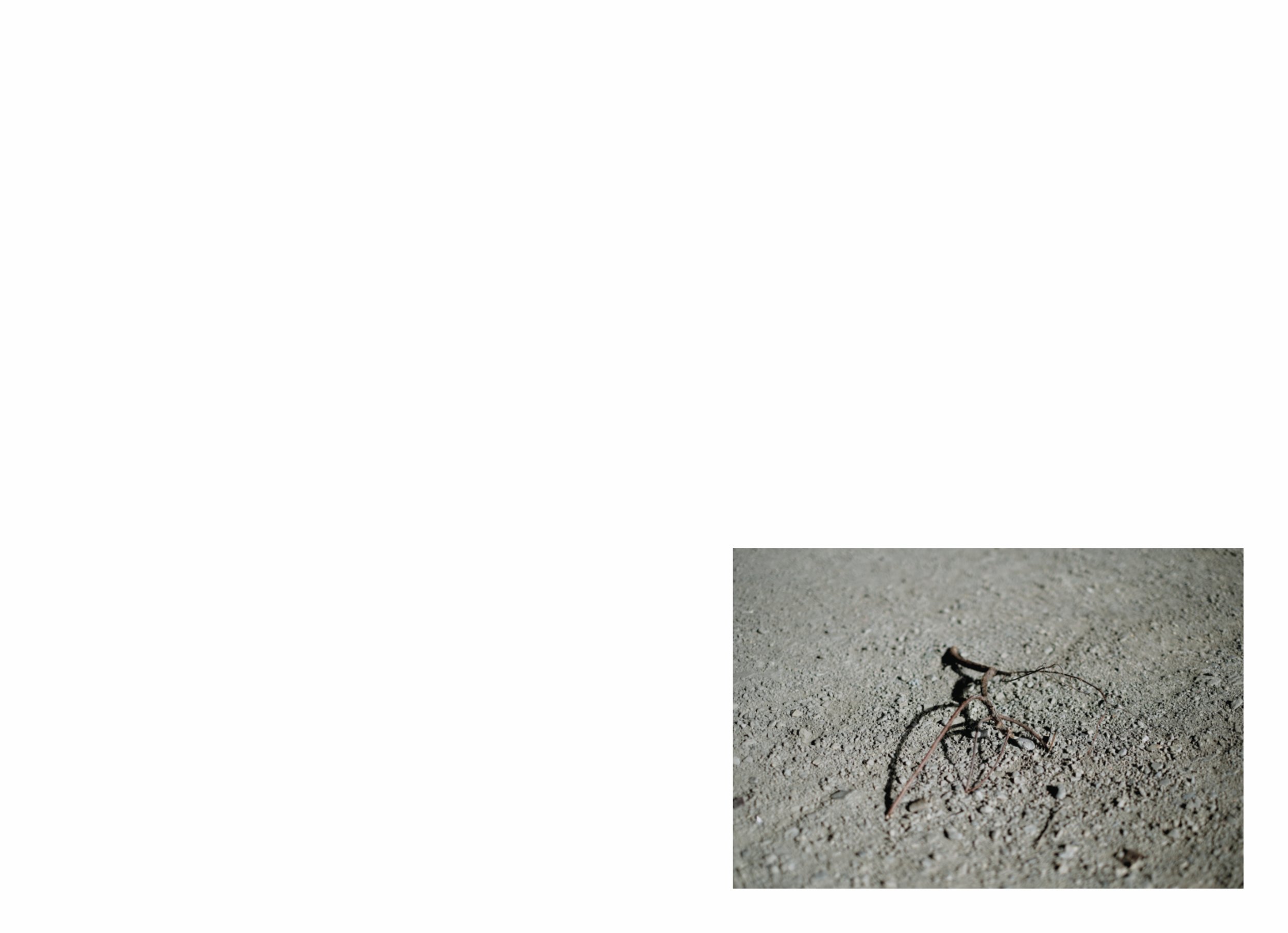 lttmoww B layout 14.5x21cm final NEW_137.jpg