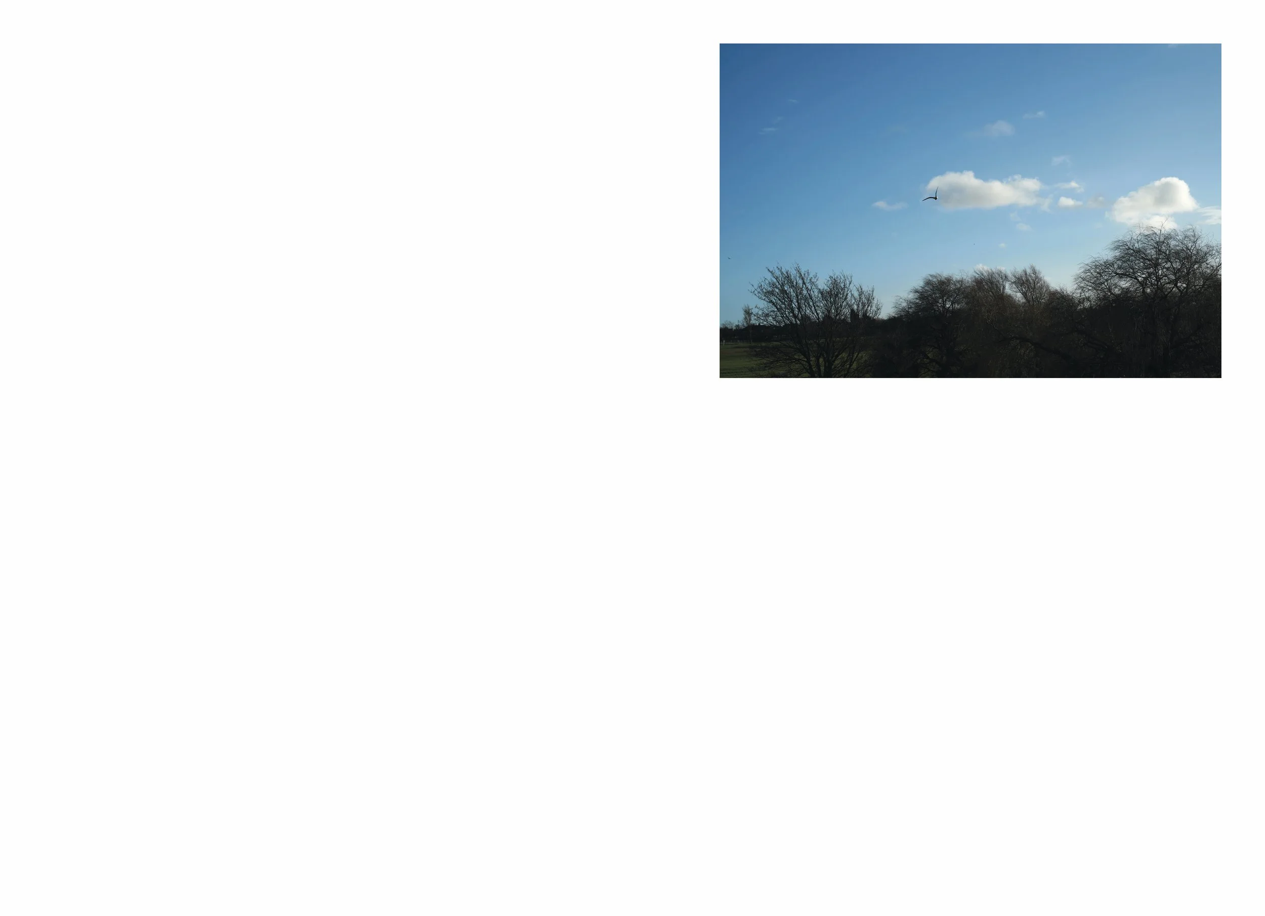 lttmoww B layout 14.5x21cm final NEW_44.jpg